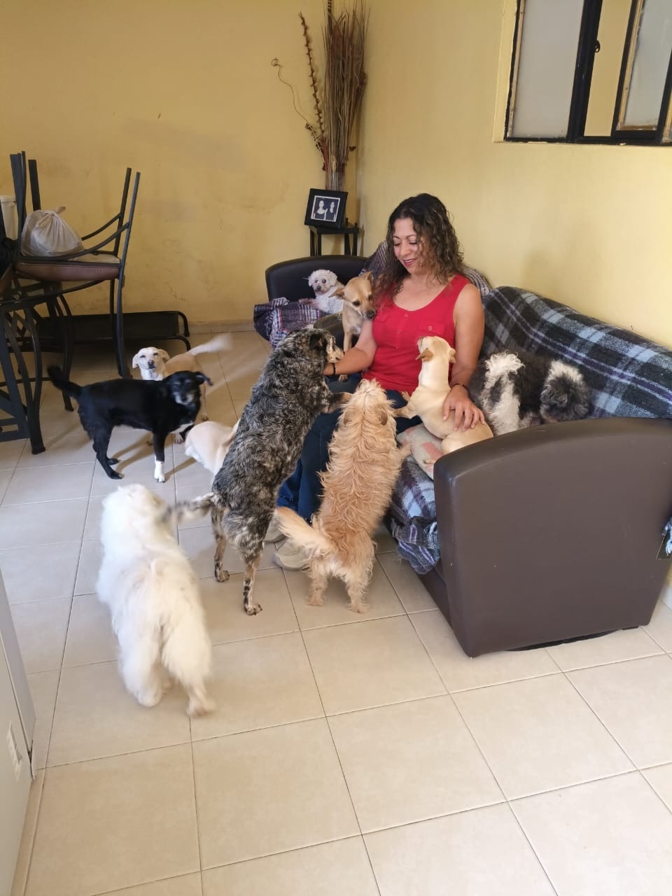 Foto de la campaña Una prótesis de cadera para seguir salvando vidas de 4 patas, 4 de 6