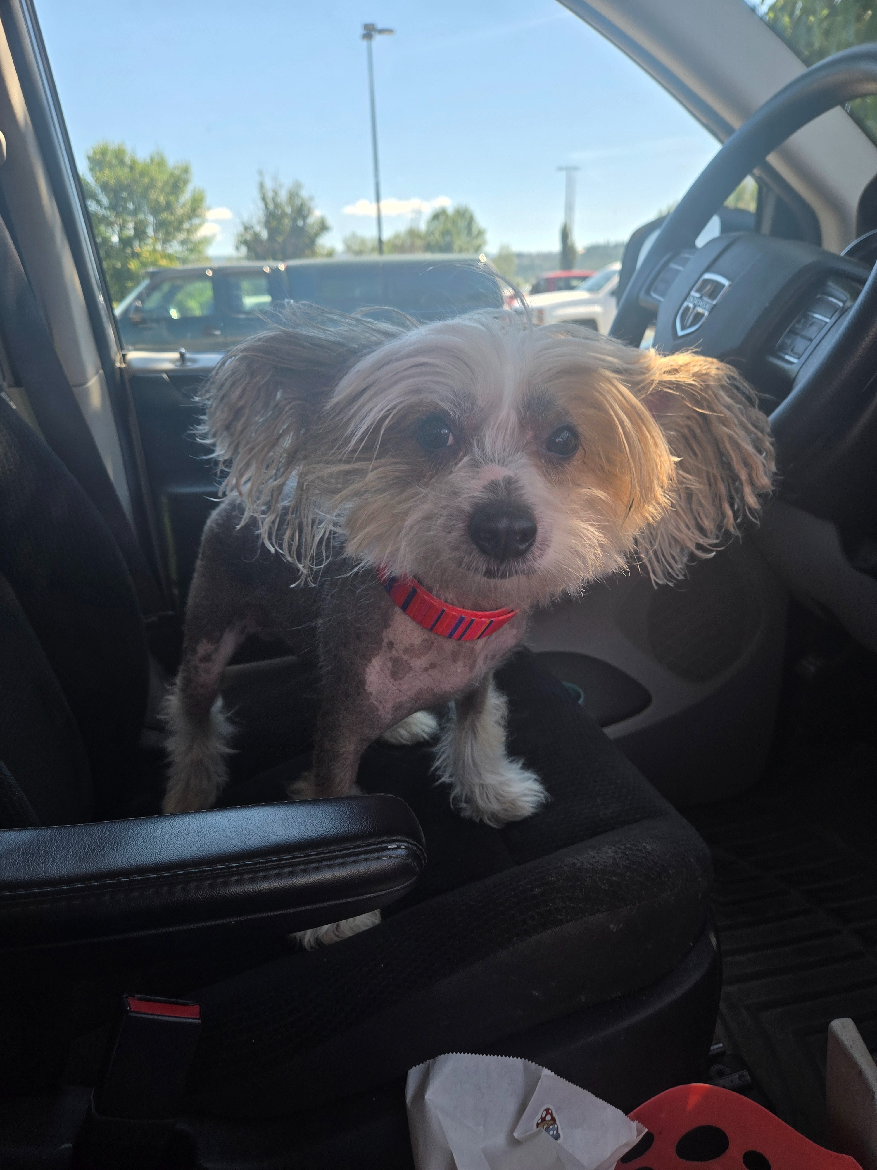 User-uploaded image 1