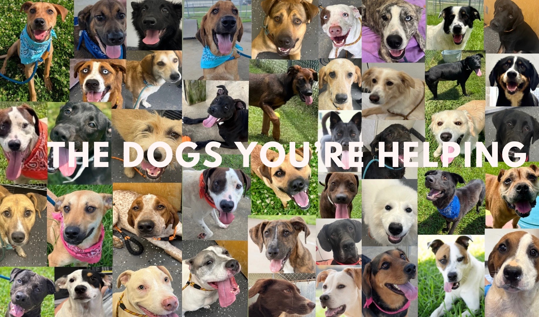 User-uploaded image 1