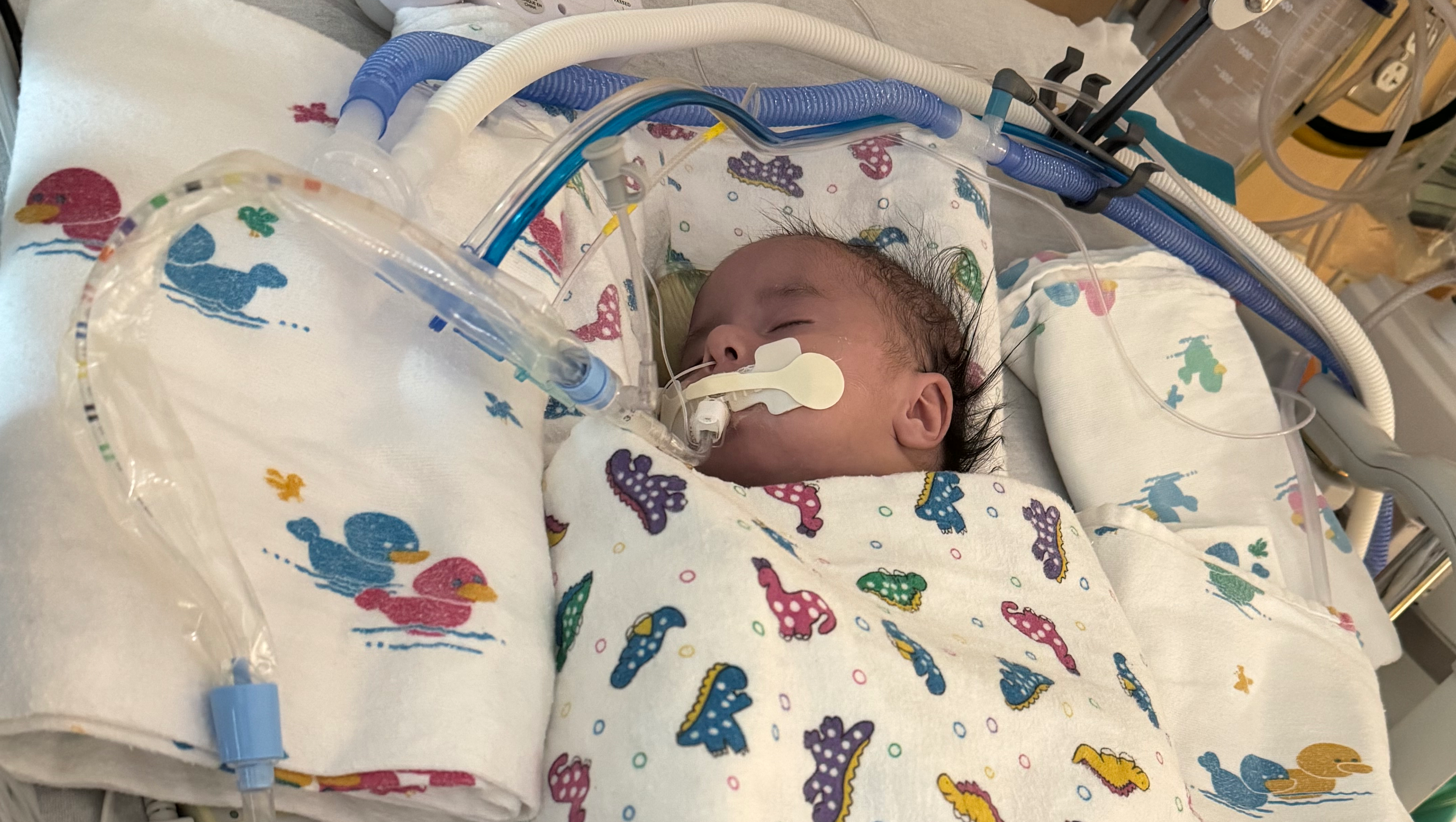 Prayers for Leeum's Healing Journey photo