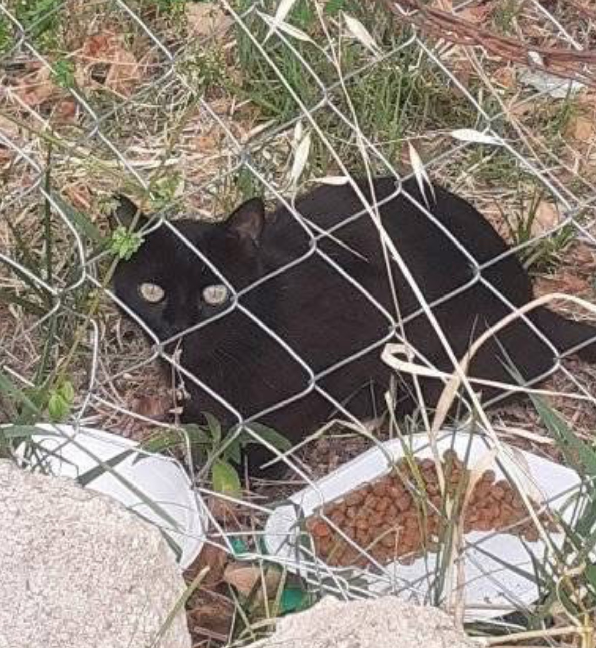 User-uploaded image 1