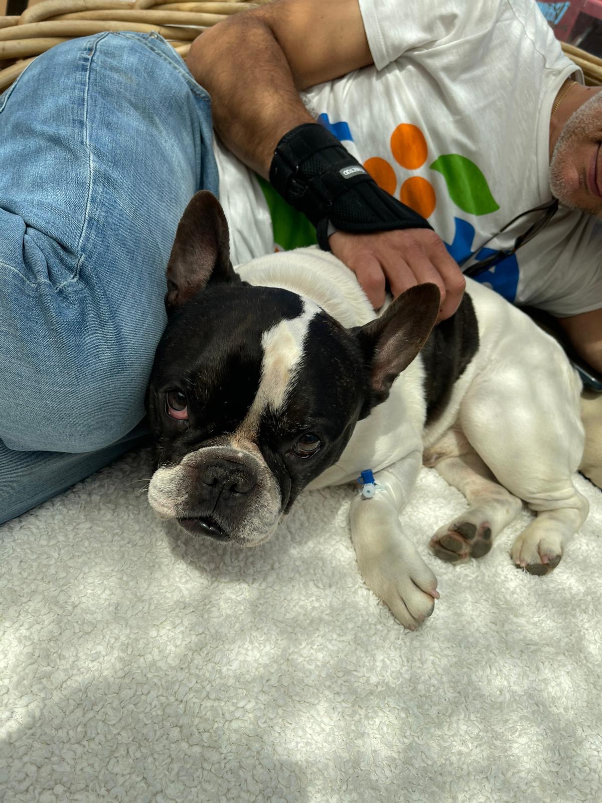 User-uploaded image 1