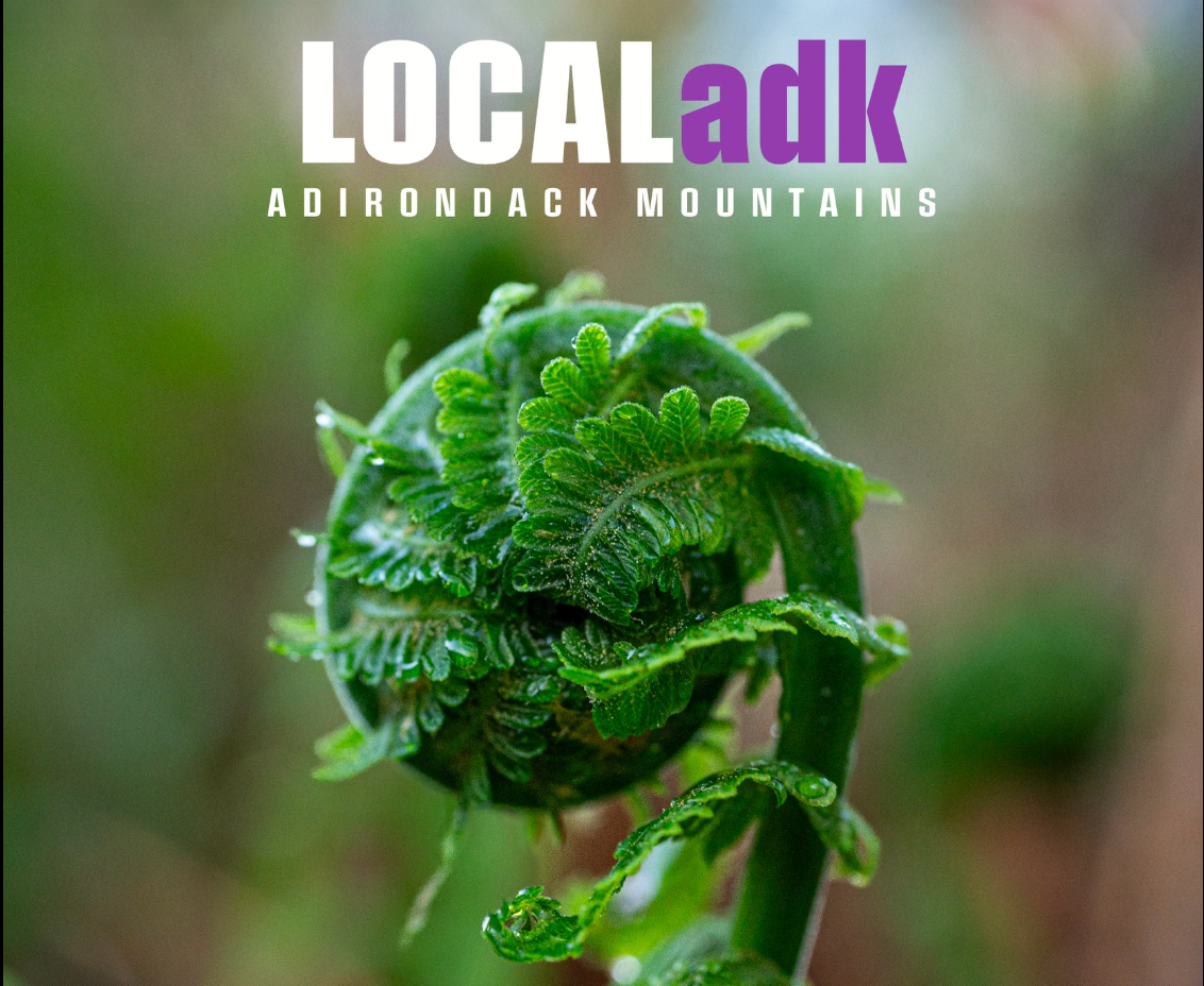 User-uploaded image 1