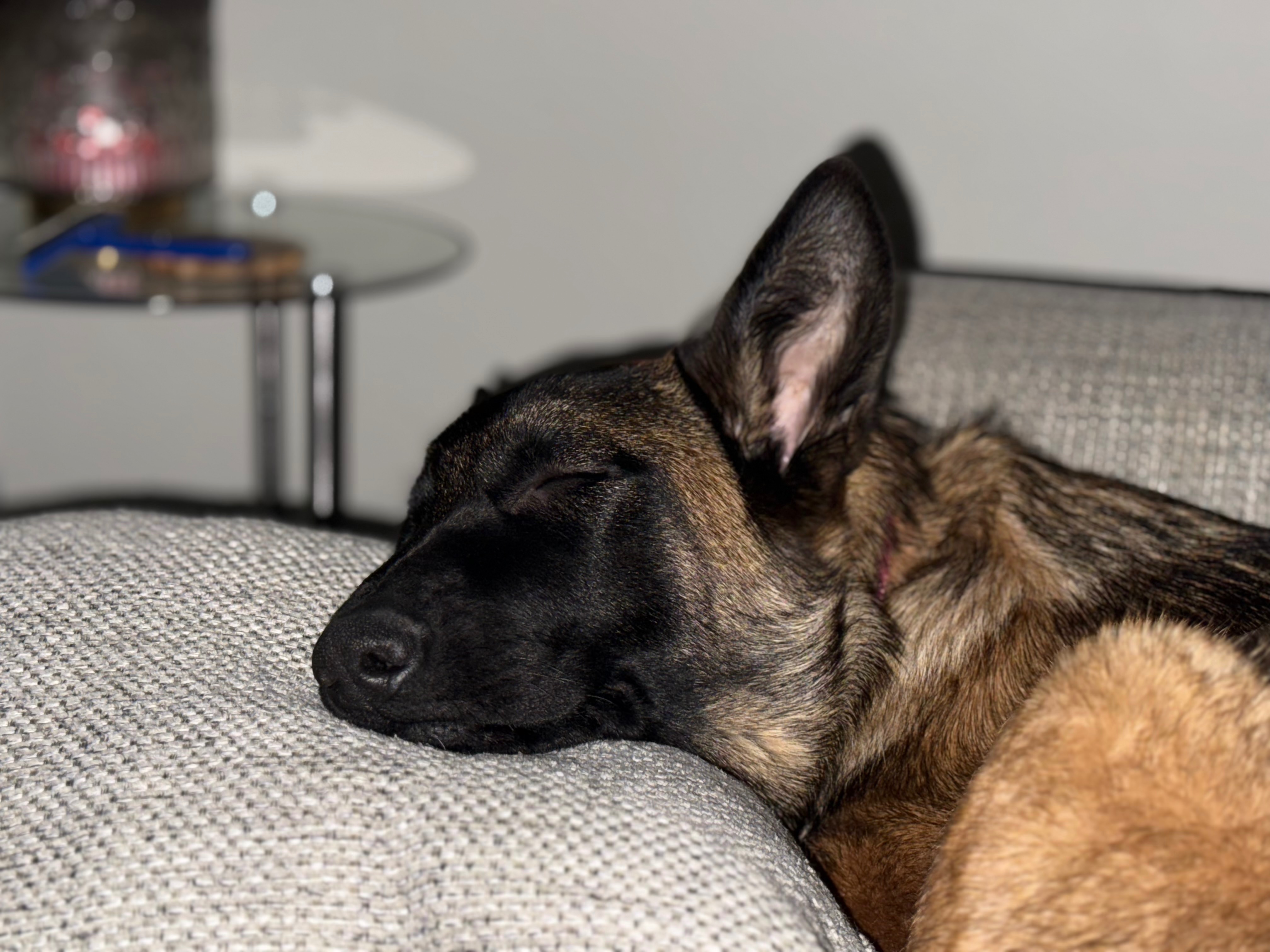 User-uploaded image 1