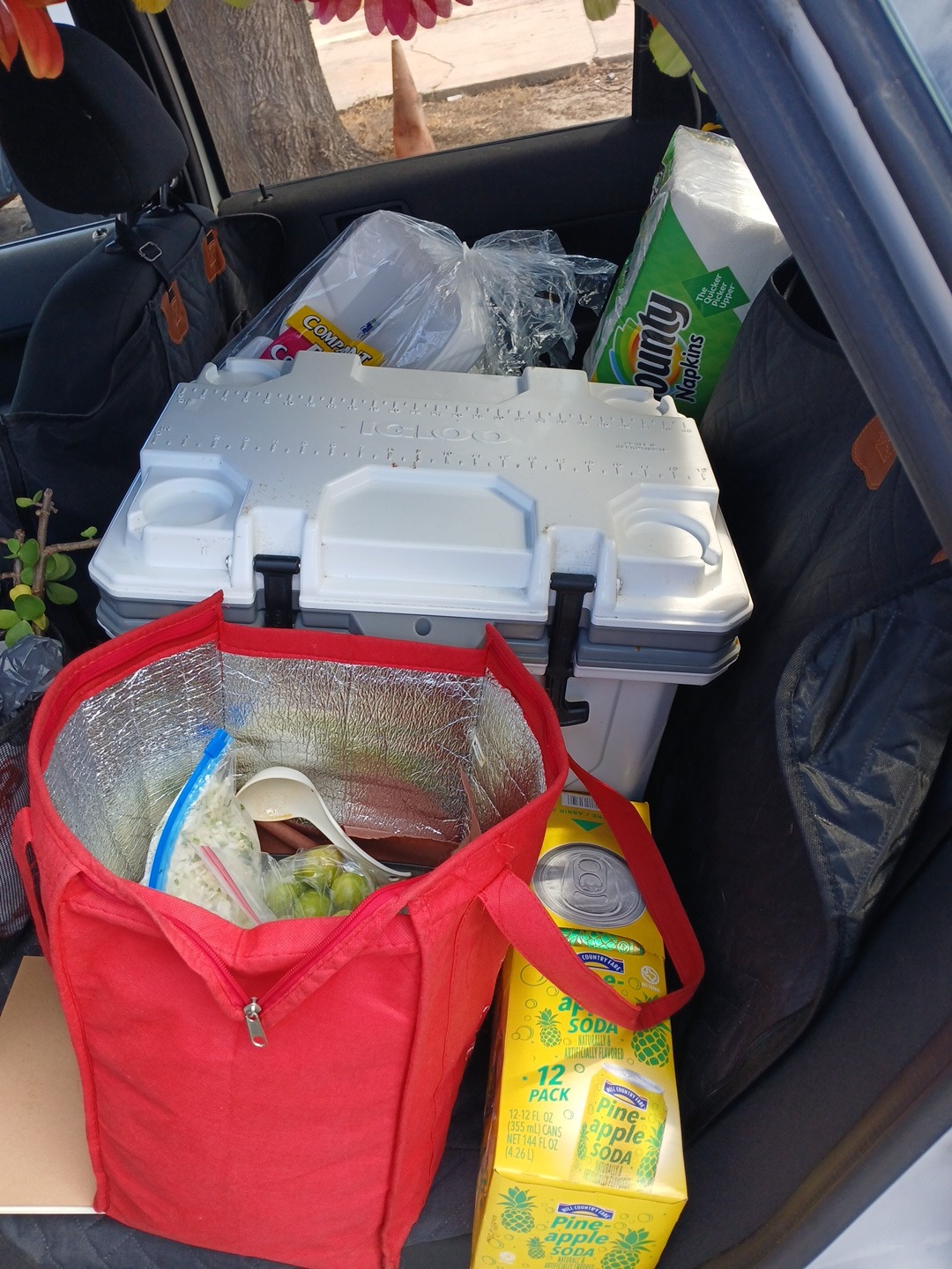 Help Paola Repair Her Car for Food Deliveries campaign photo, 5 of 6