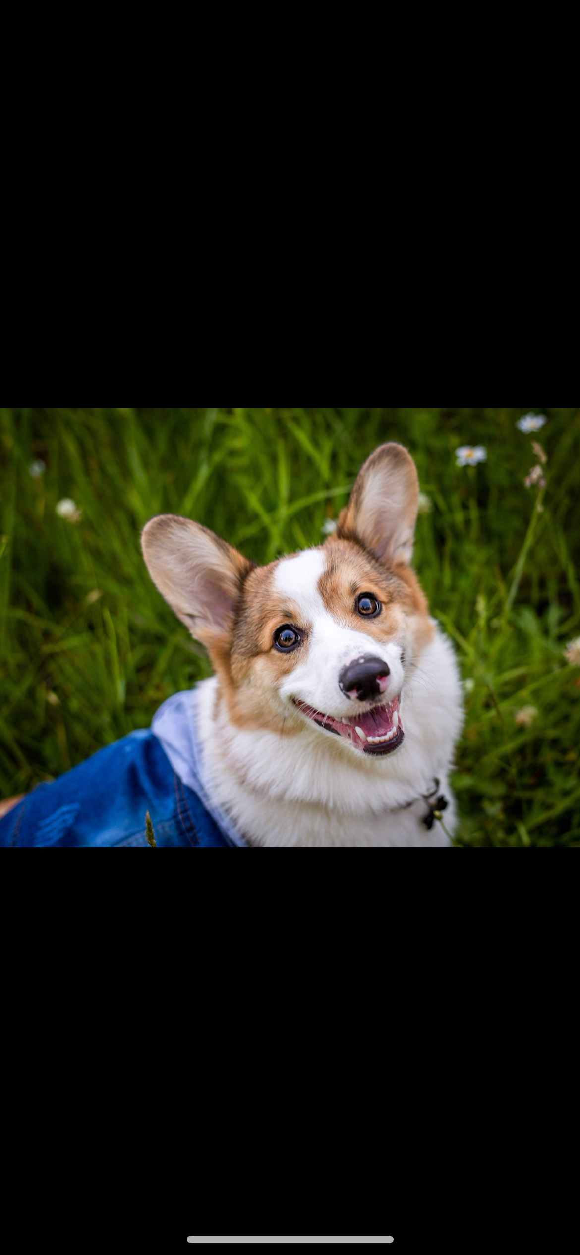 Join Stitch's Fight Against Lymphoma campaign photo, 6 of 7