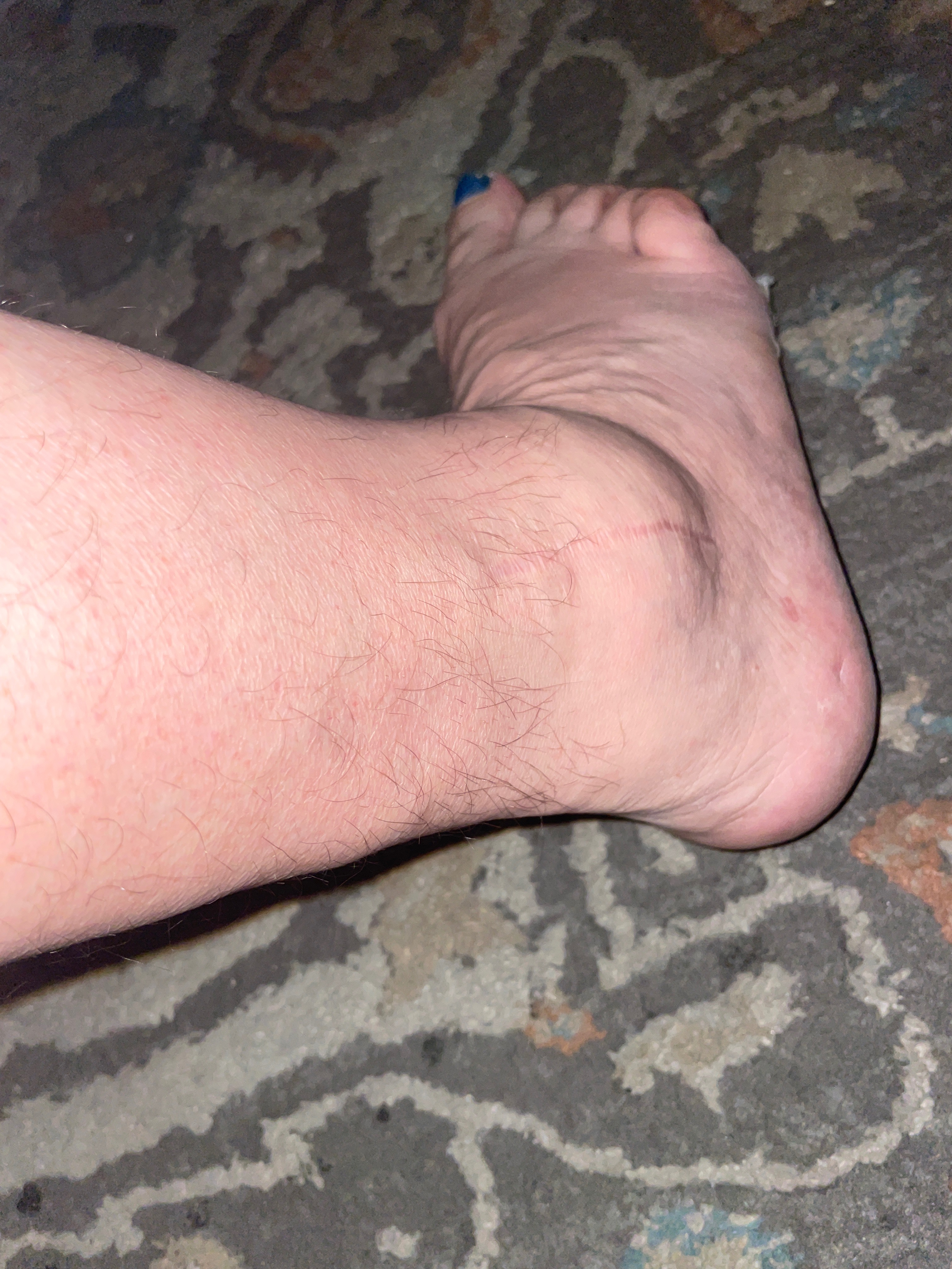 User-uploaded image 1