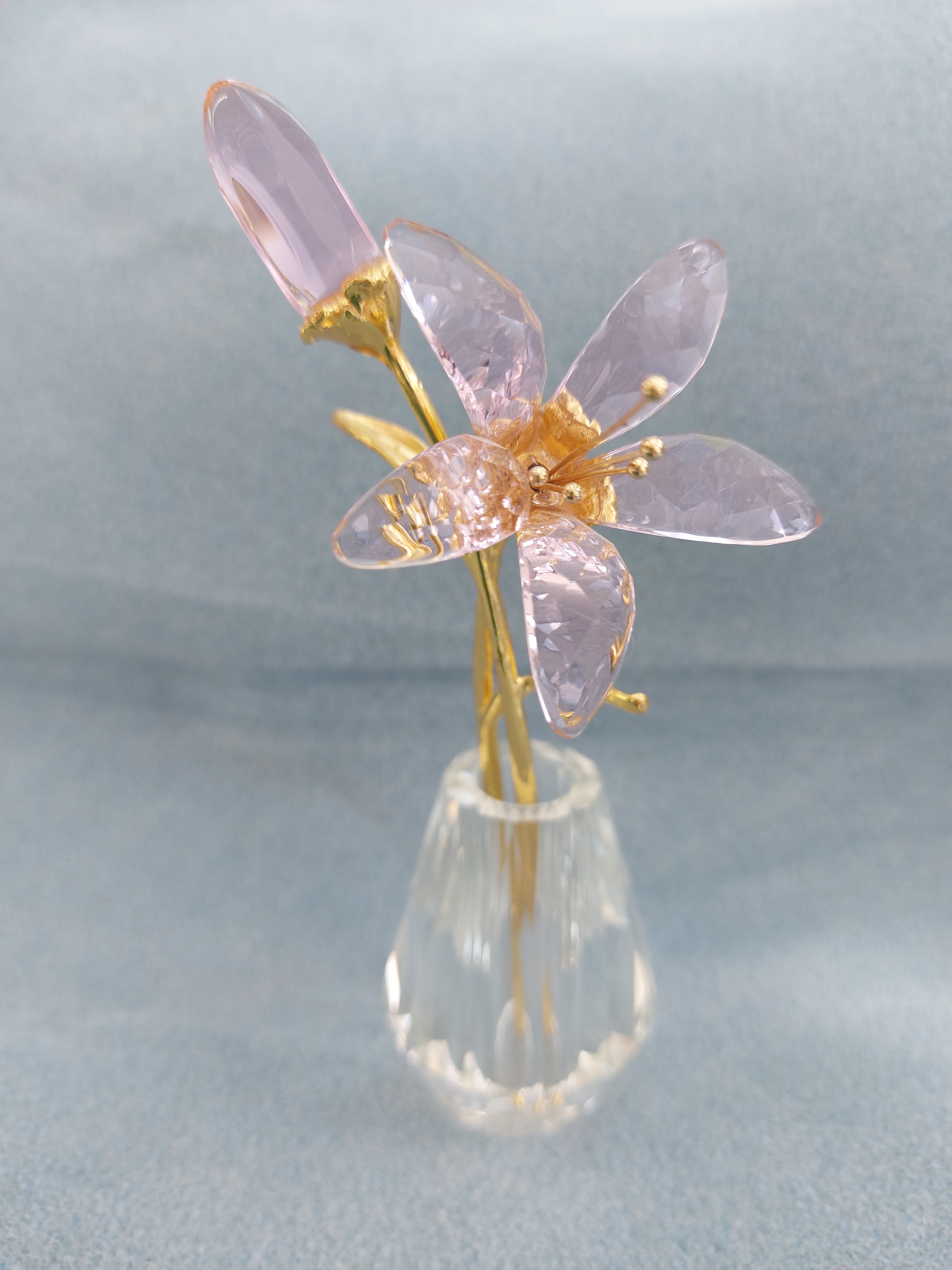 Keep our busy Bee buzzing.... campaign photo, 2 of 4
