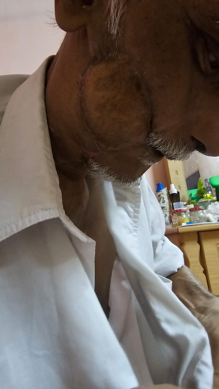 Help My Friend’s Father Fight for His Life After Jaw Removal campaign photo, 2 of 6