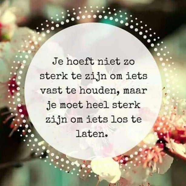 User-uploaded image 1