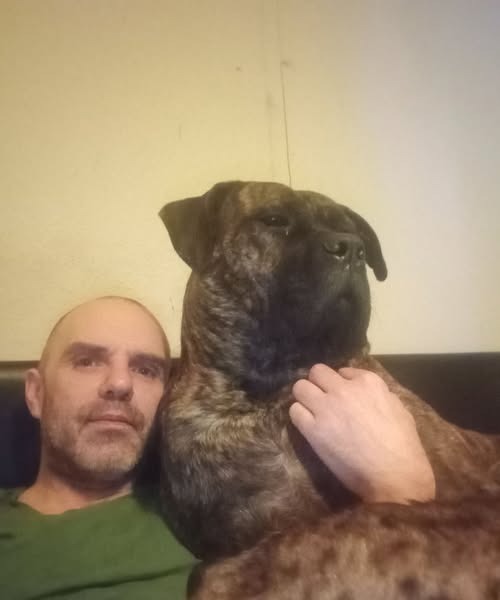 Help Dave, My Support Dog, Get Life-Changing Hip Surgery campaign photo, 2 of 8