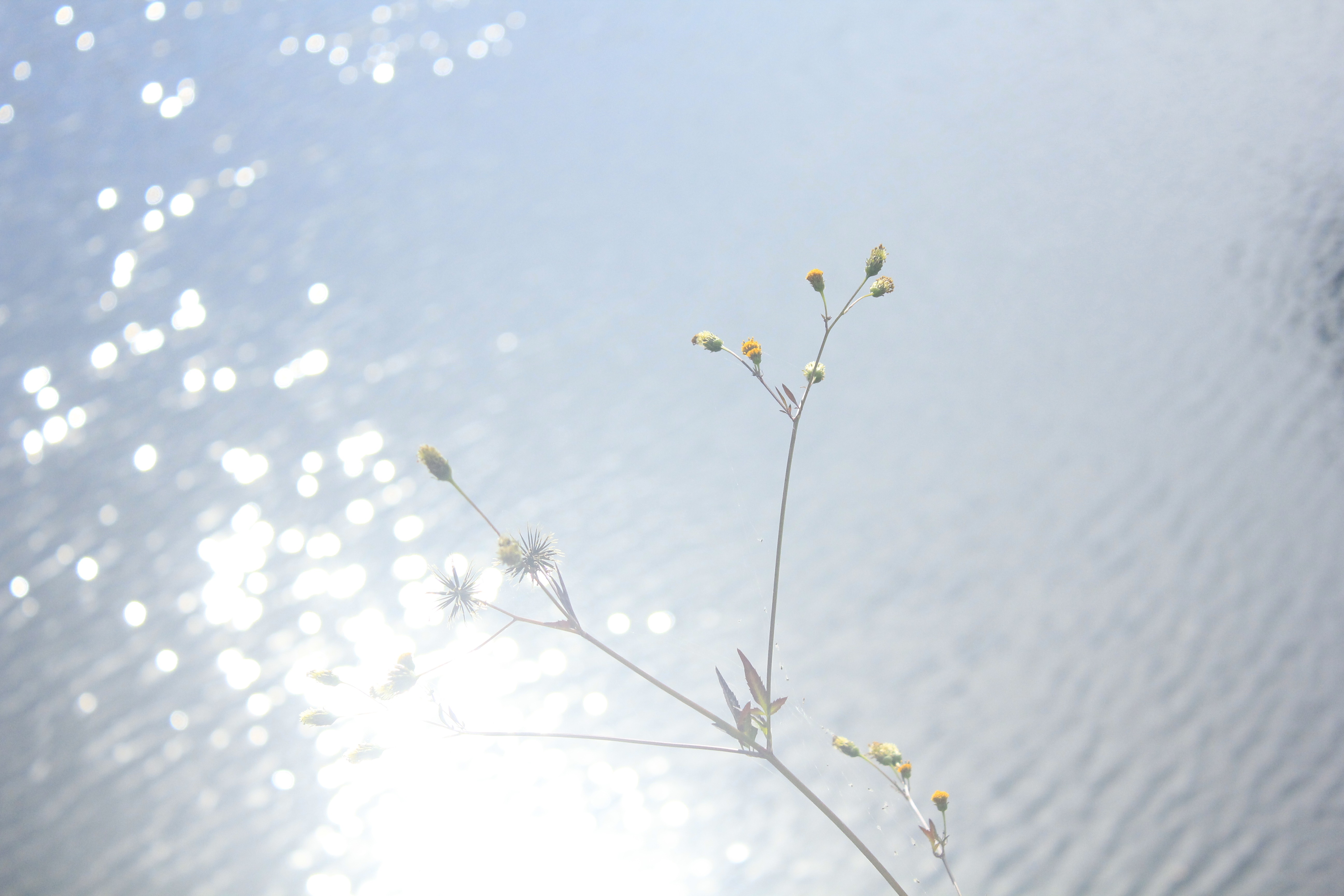 User-uploaded image 1