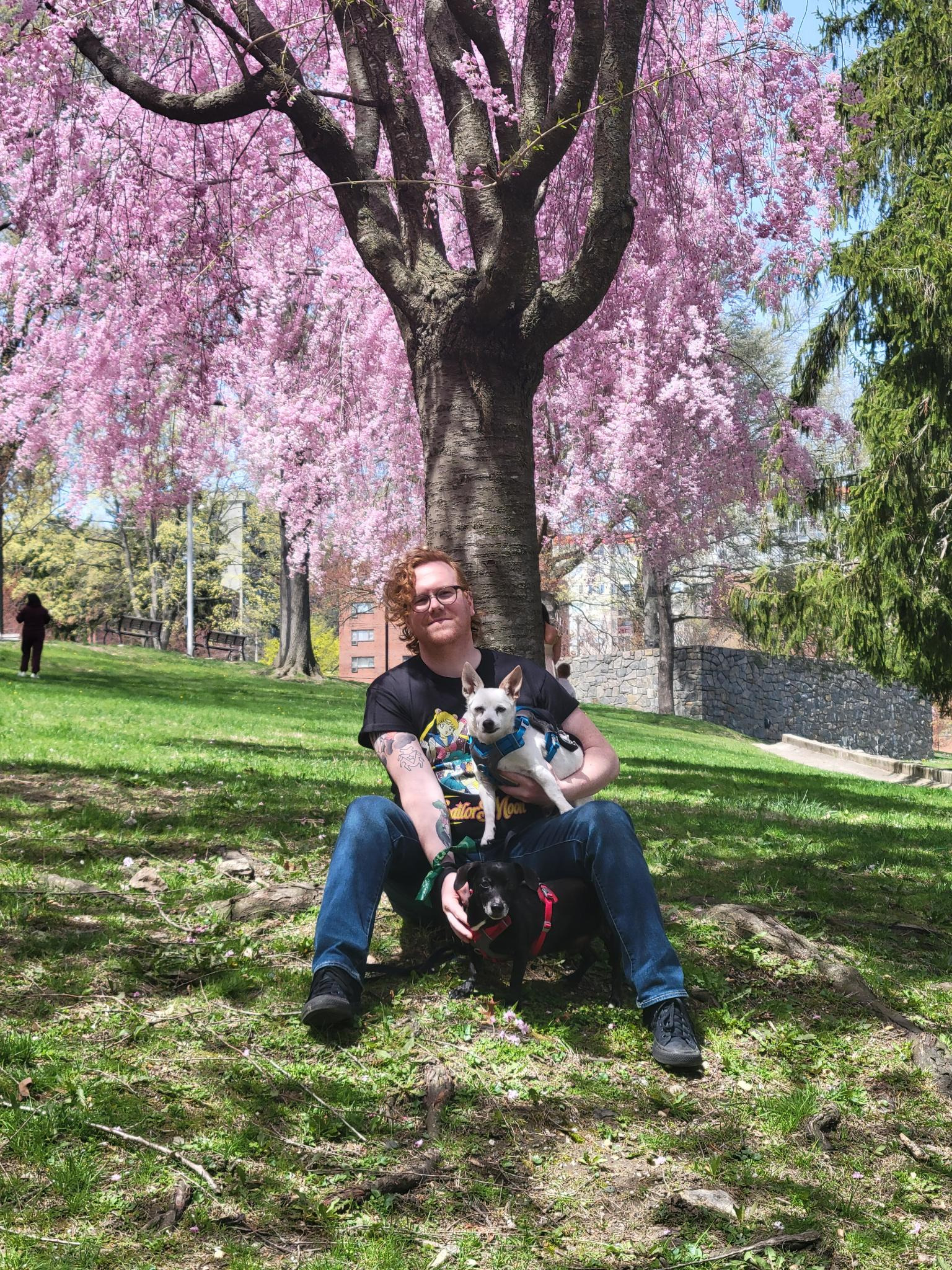 Help Hercules Fight Cancer: Support His Chemo campaign photo, 6 of 8