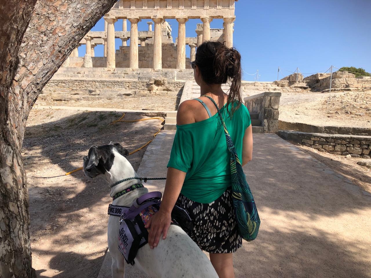 User-uploaded image 1