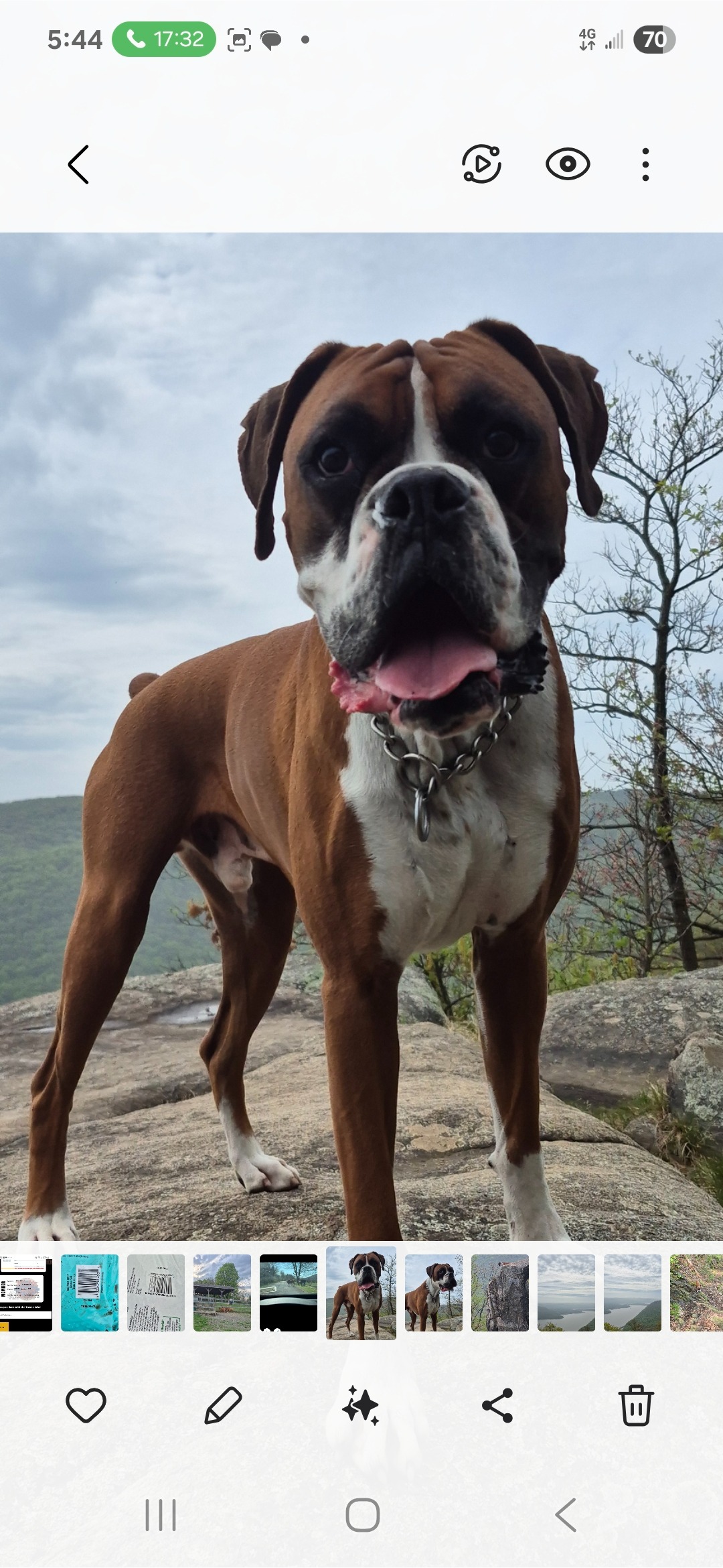 Help Ranger Beat Cancer with Your Support campaign photo, 7 of 8