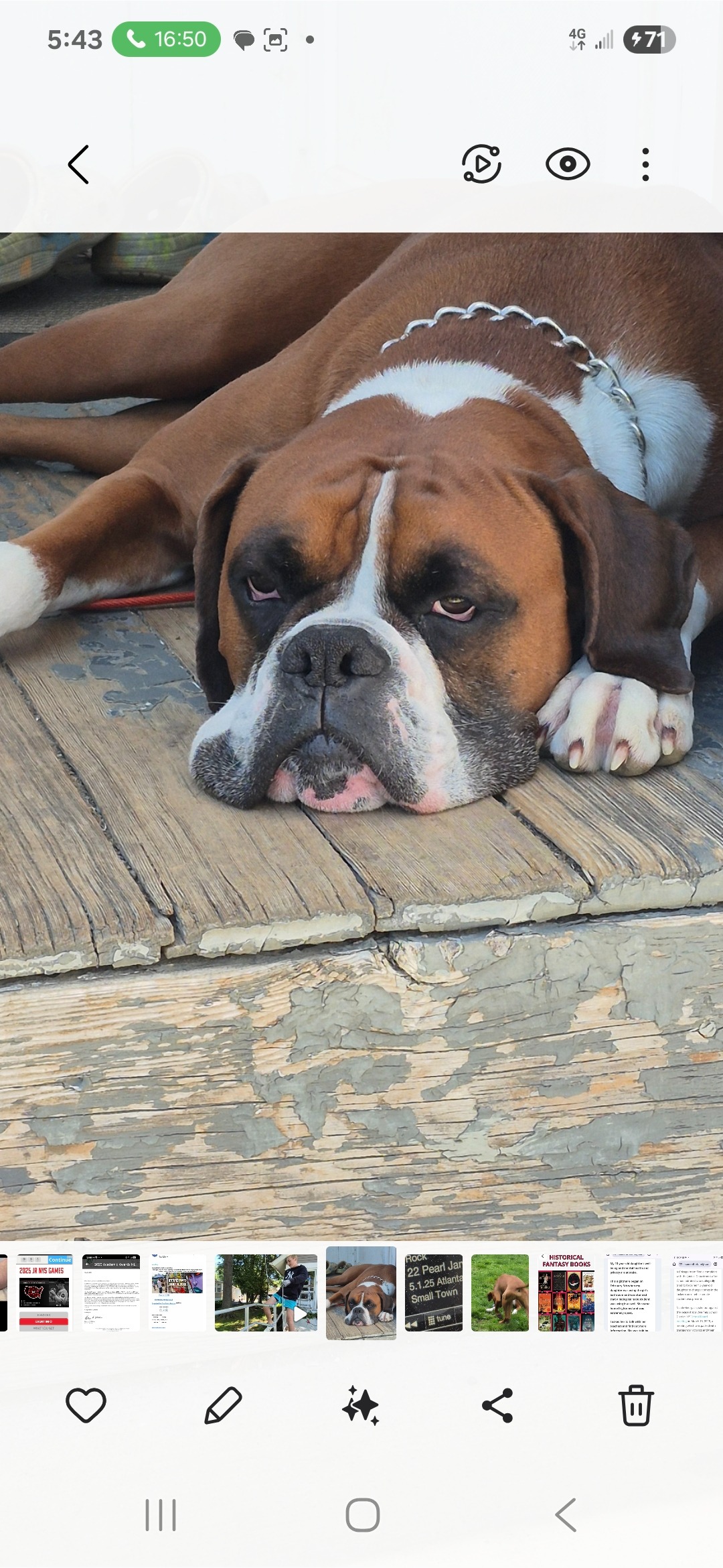 Help Ranger Beat Cancer with Your Support campaign photo, 4 of 8