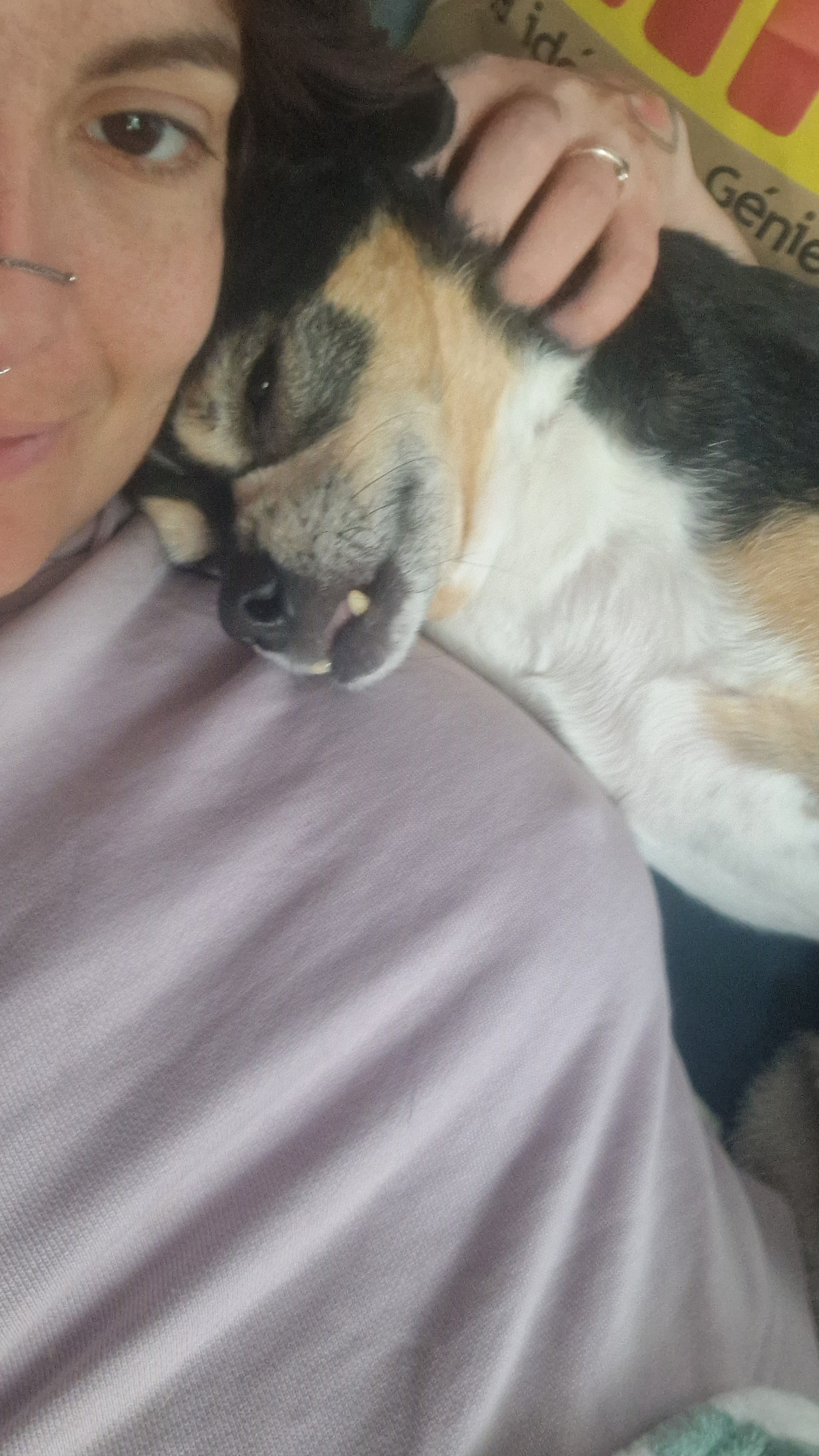 Help my dog getting surgery campaign photo, 2 of 4