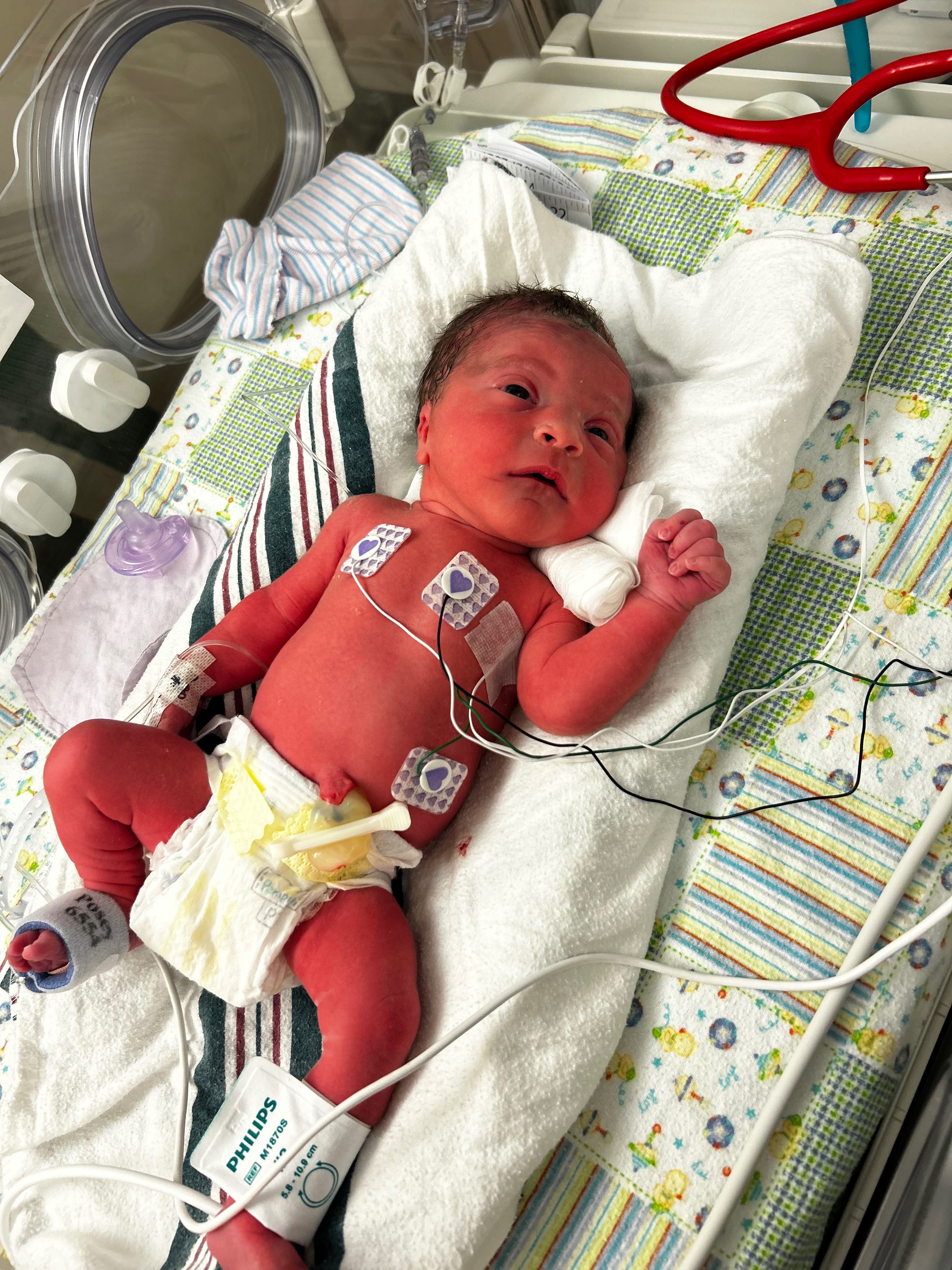 User-uploaded image 1