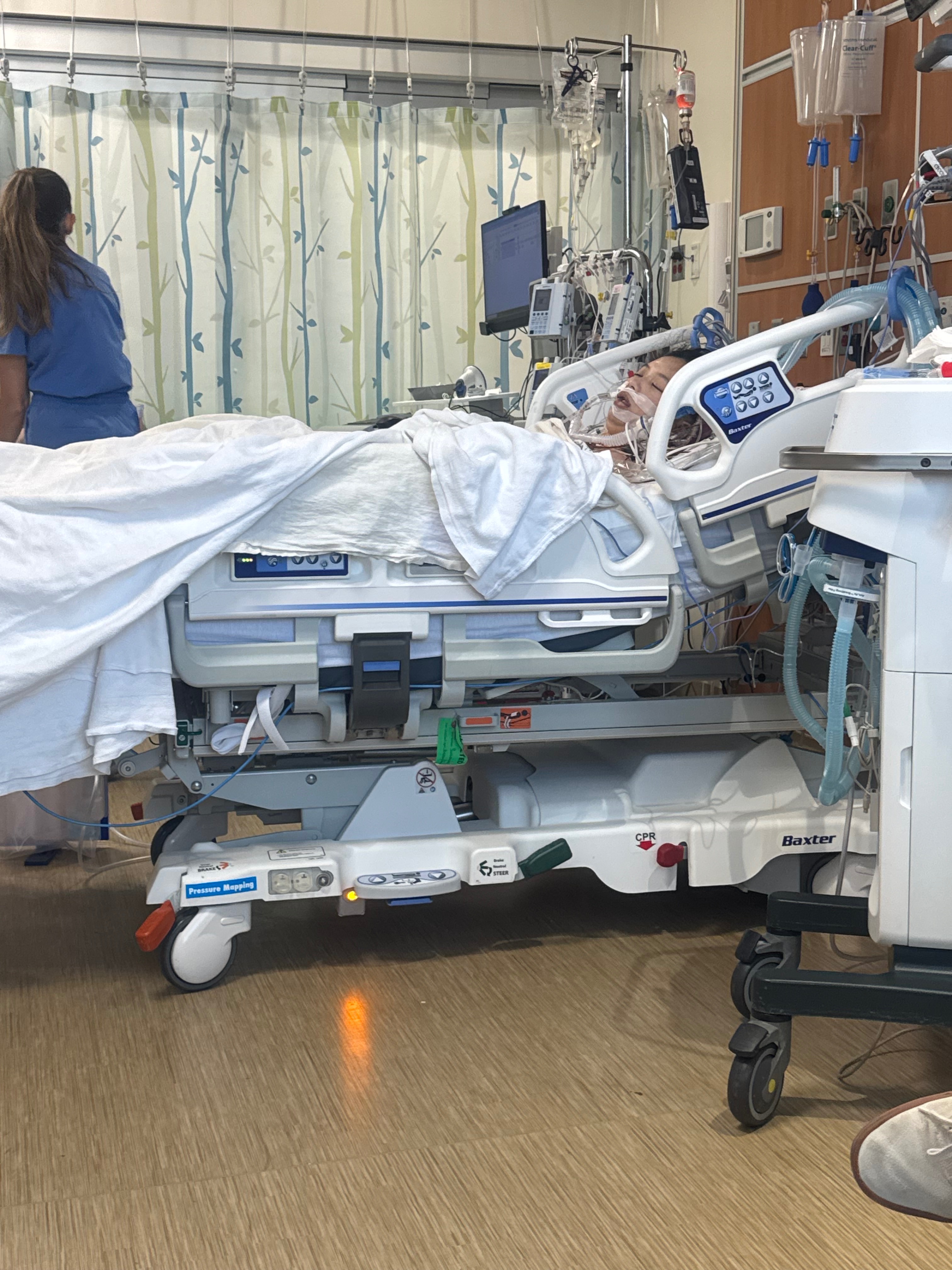 User-uploaded image 1