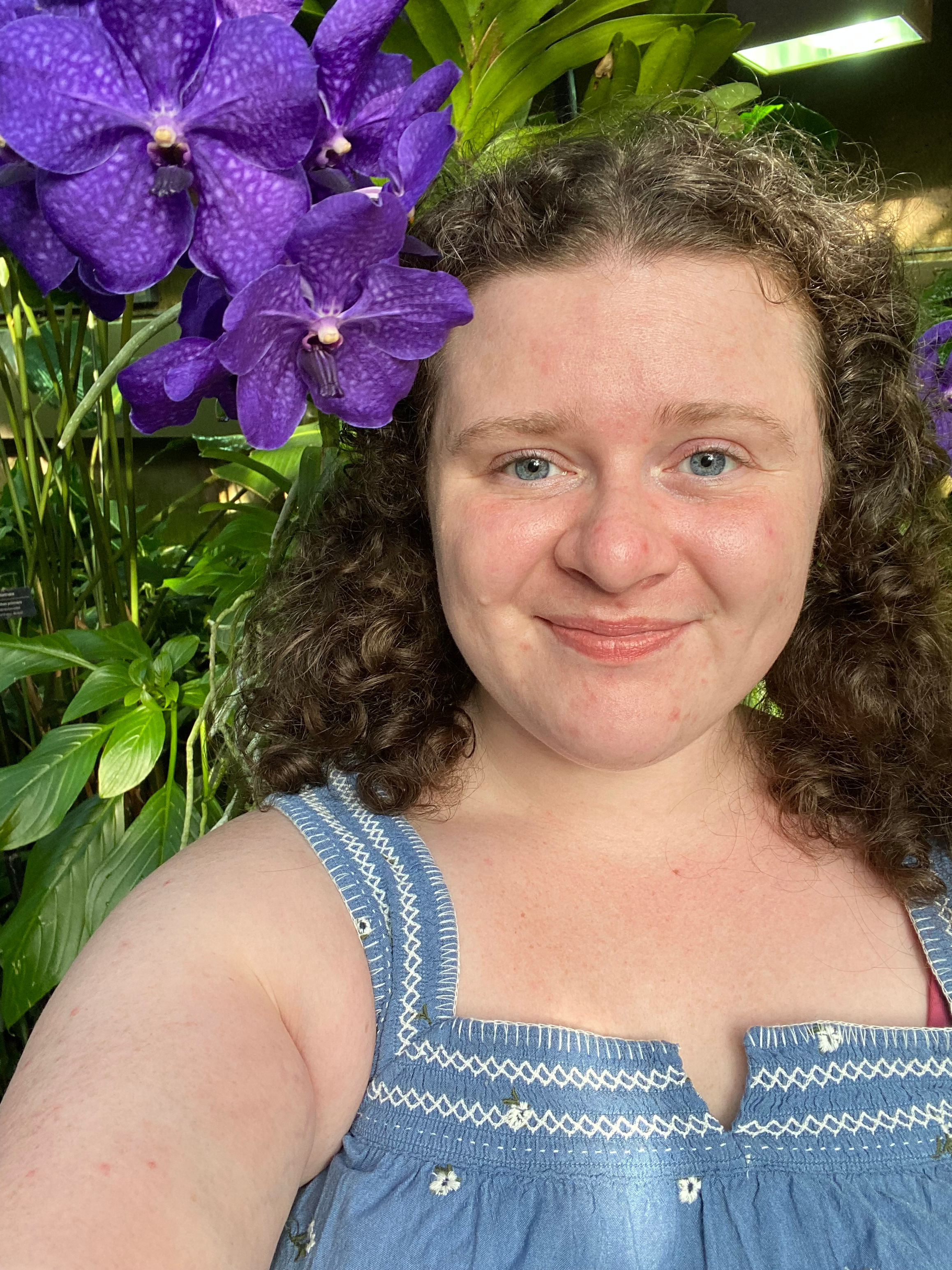 User-uploaded image 1