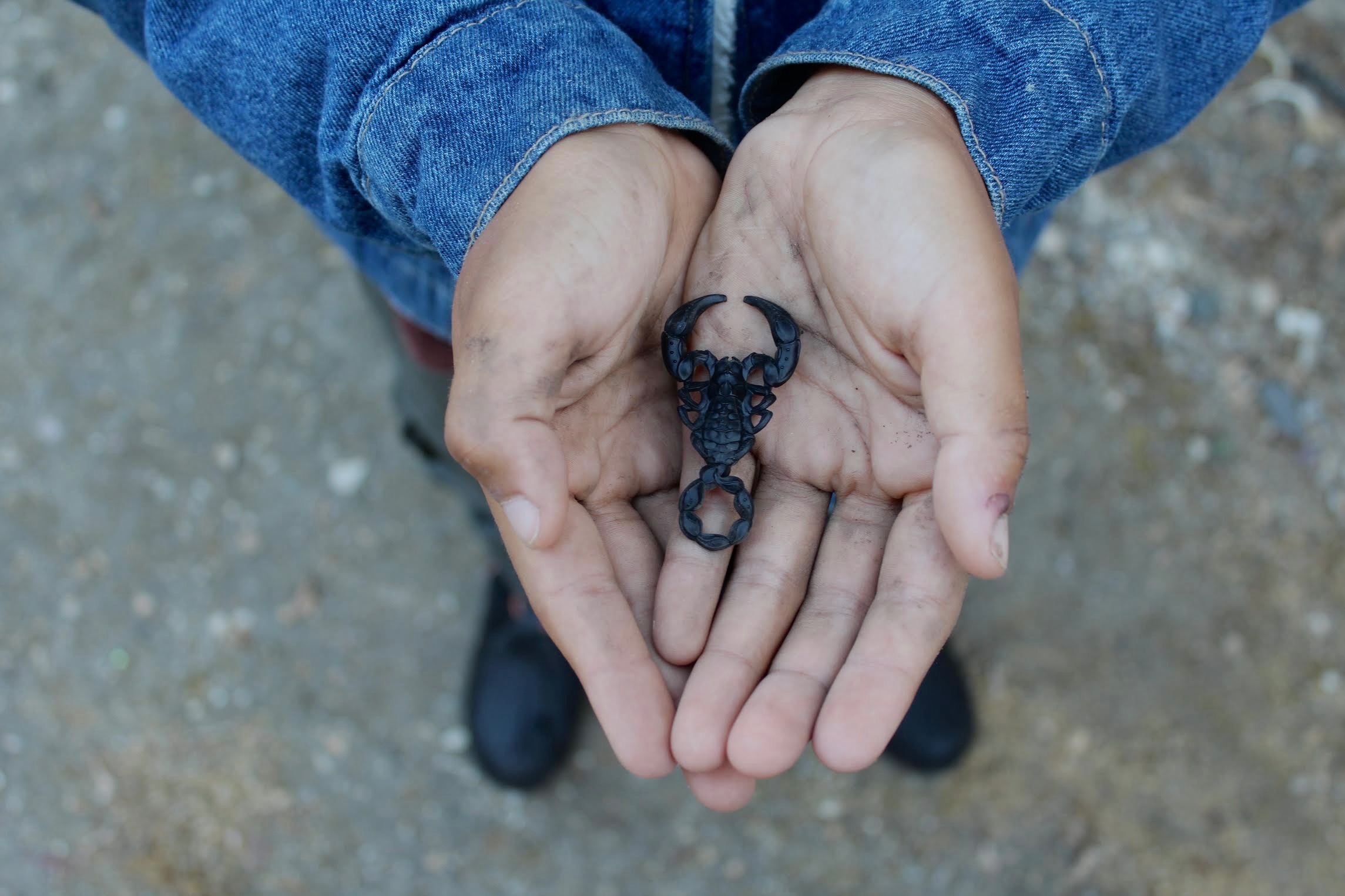 User-uploaded image 1