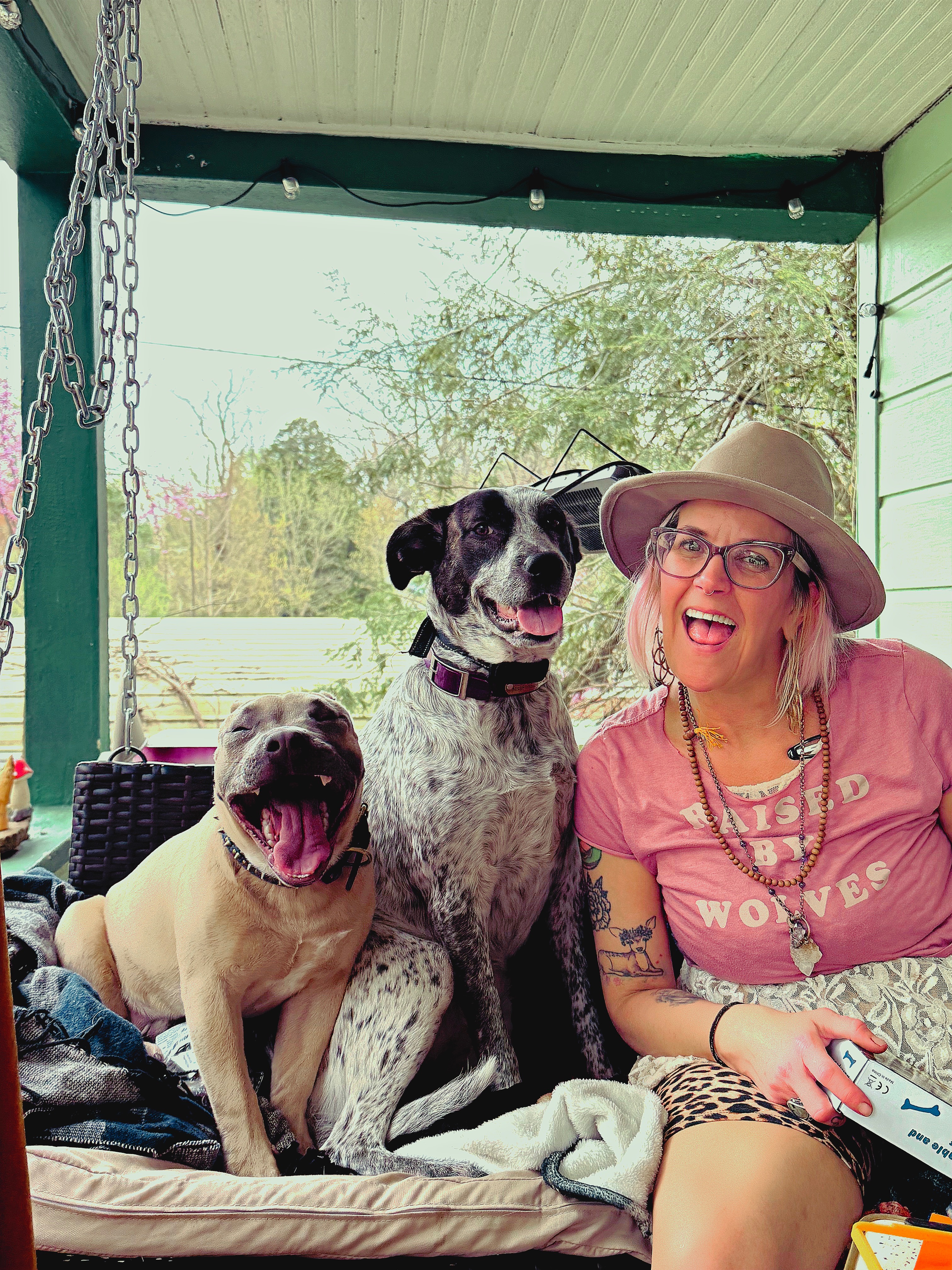 Fundraiser by Missy Hileman : Help build a Fence for Missy, Jasper