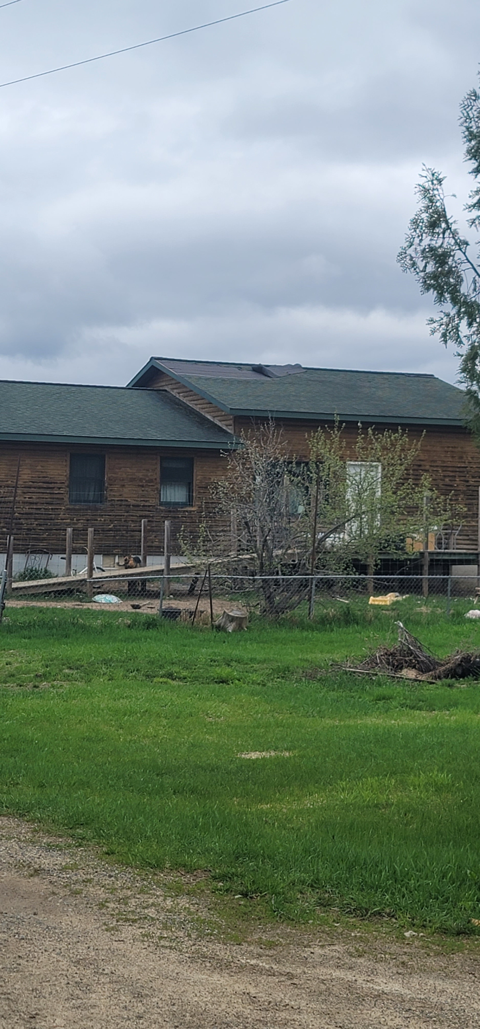 User-uploaded image 1