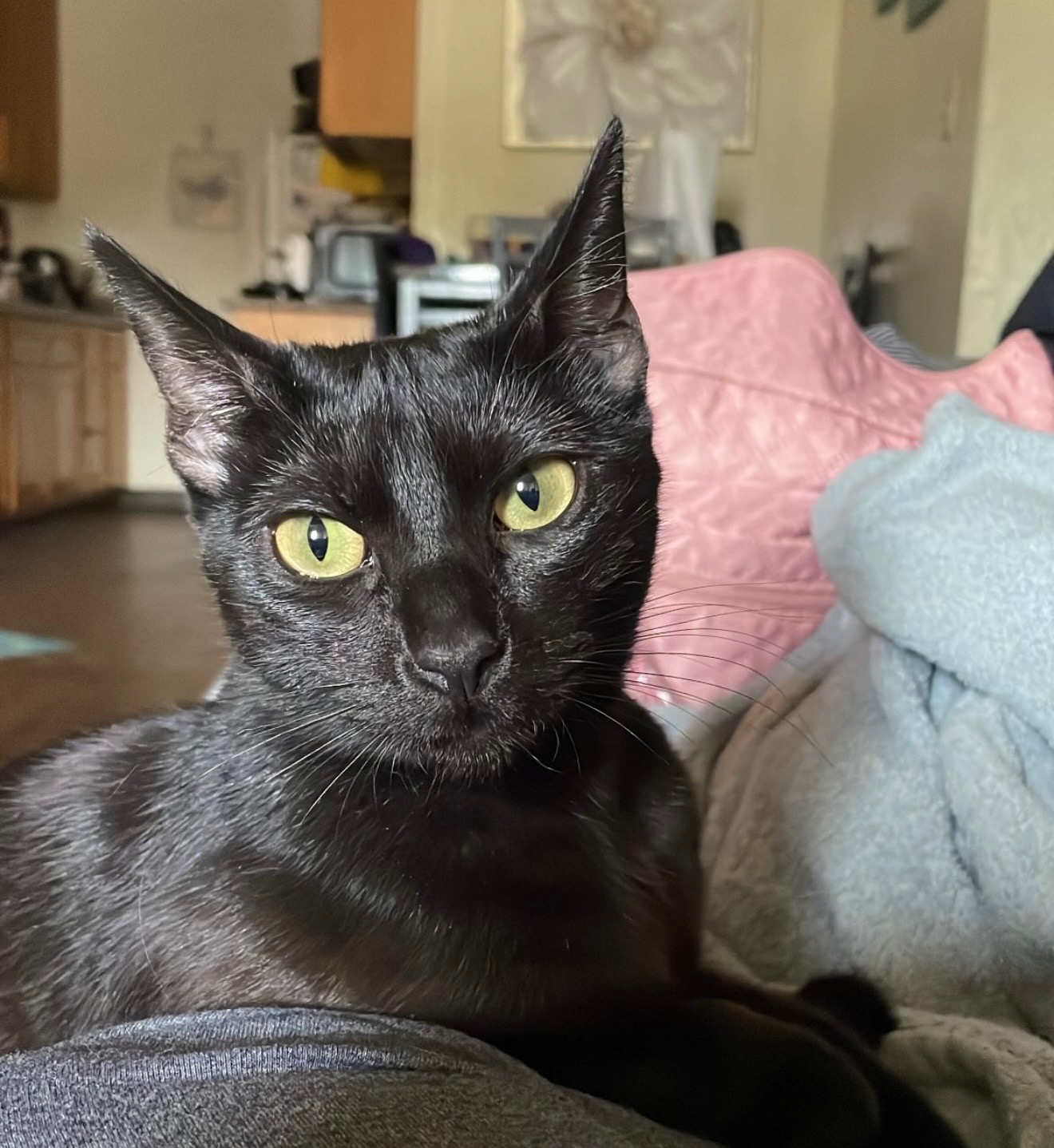 User-uploaded image 1