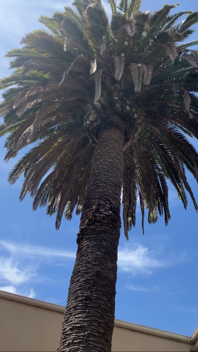 User-uploaded image 3