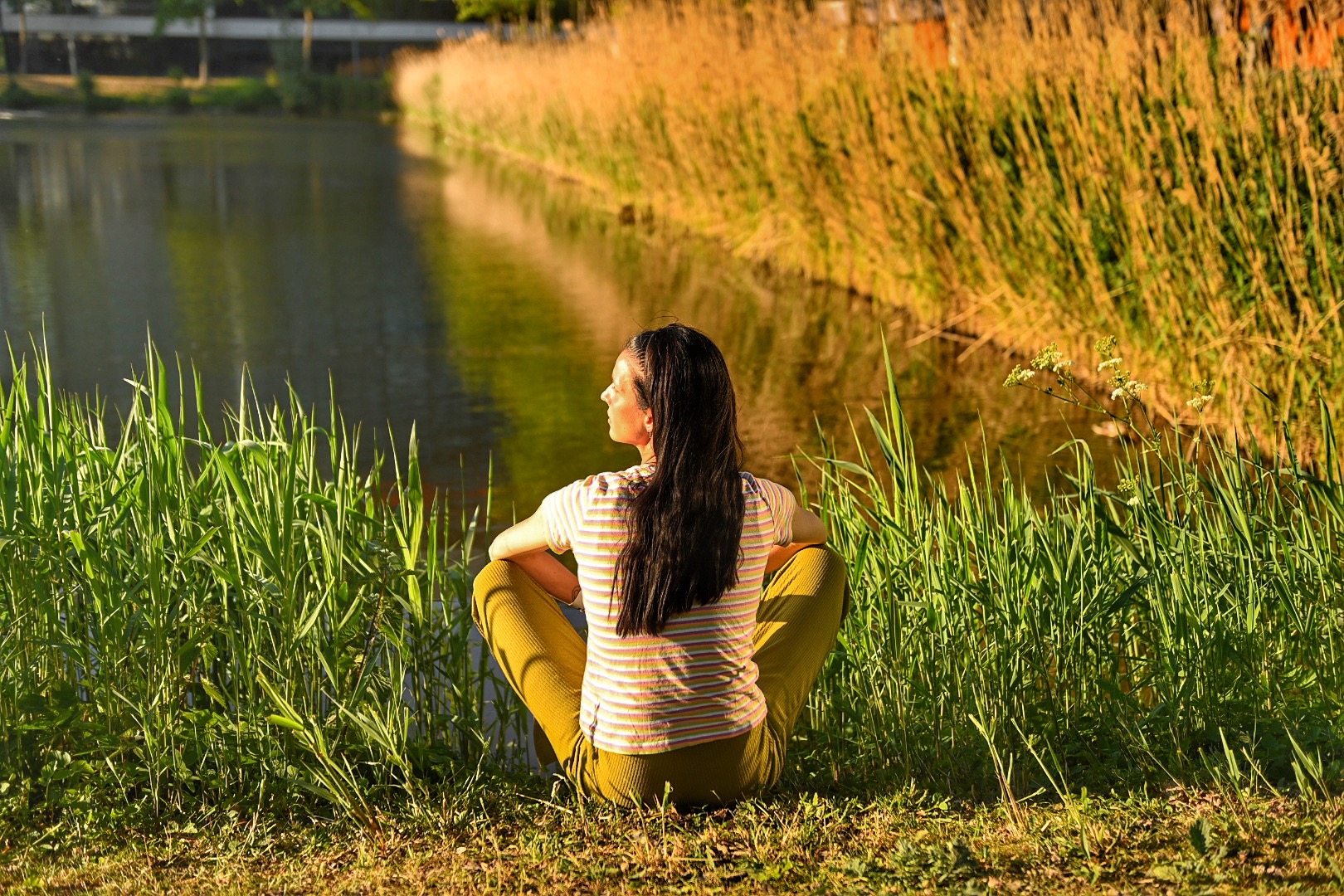 User-uploaded image 1