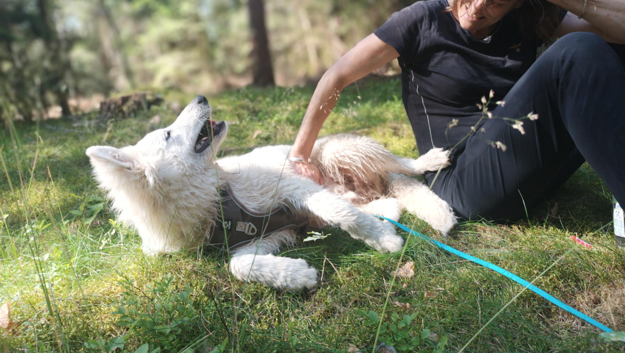 Hoffnung auf 2 Rädern – Fahrradanhänger für Assistenzhund photo