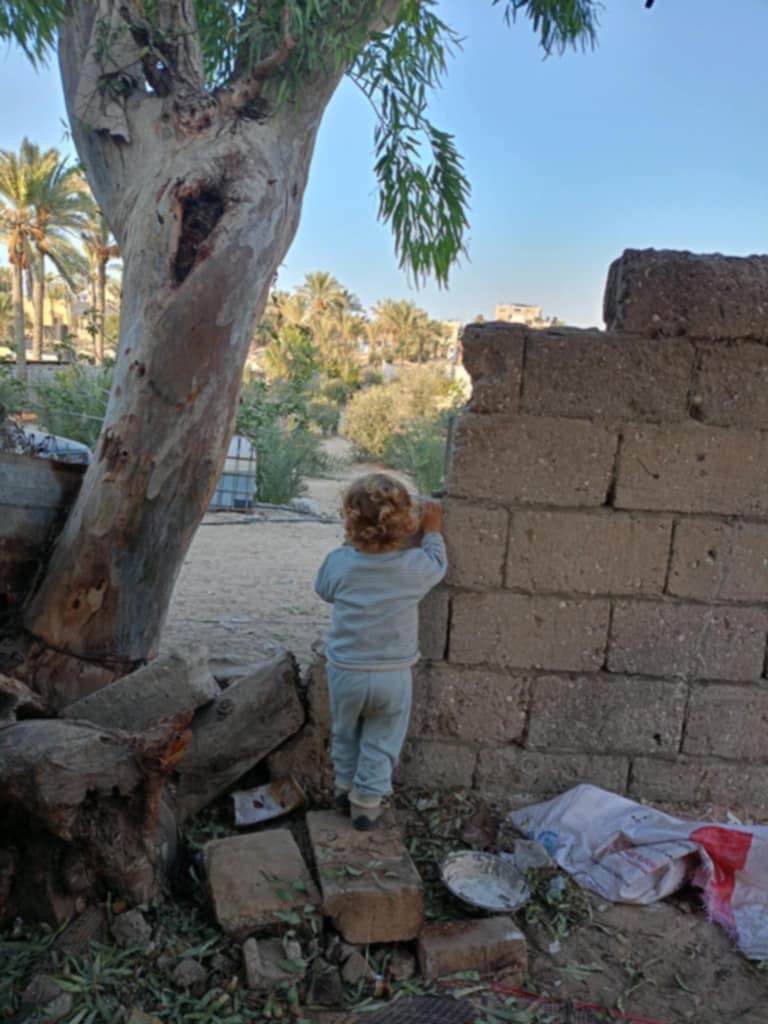From Gaza with Hope - Help Us Rebuild  Our Lives campaign photo, 5 of 8