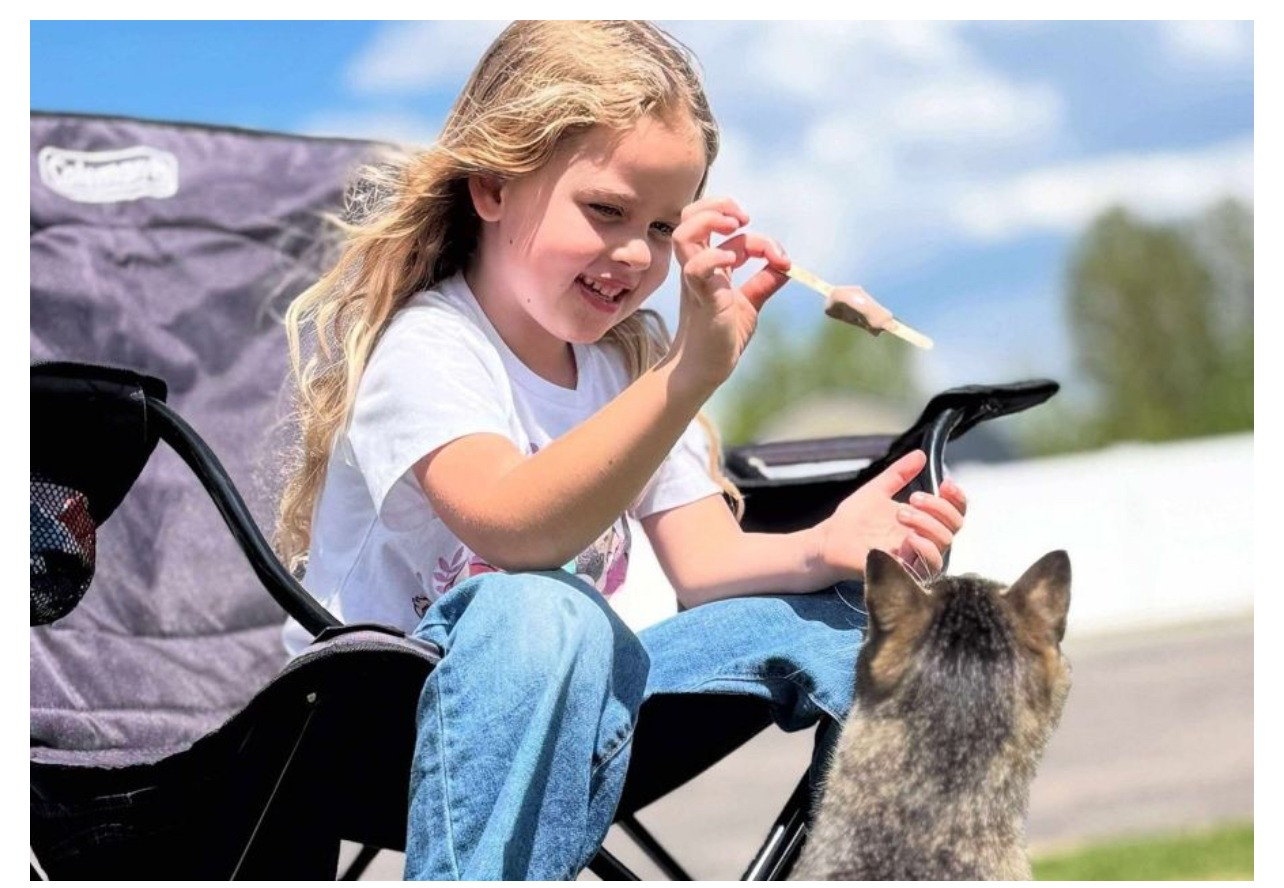 User-uploaded image 1