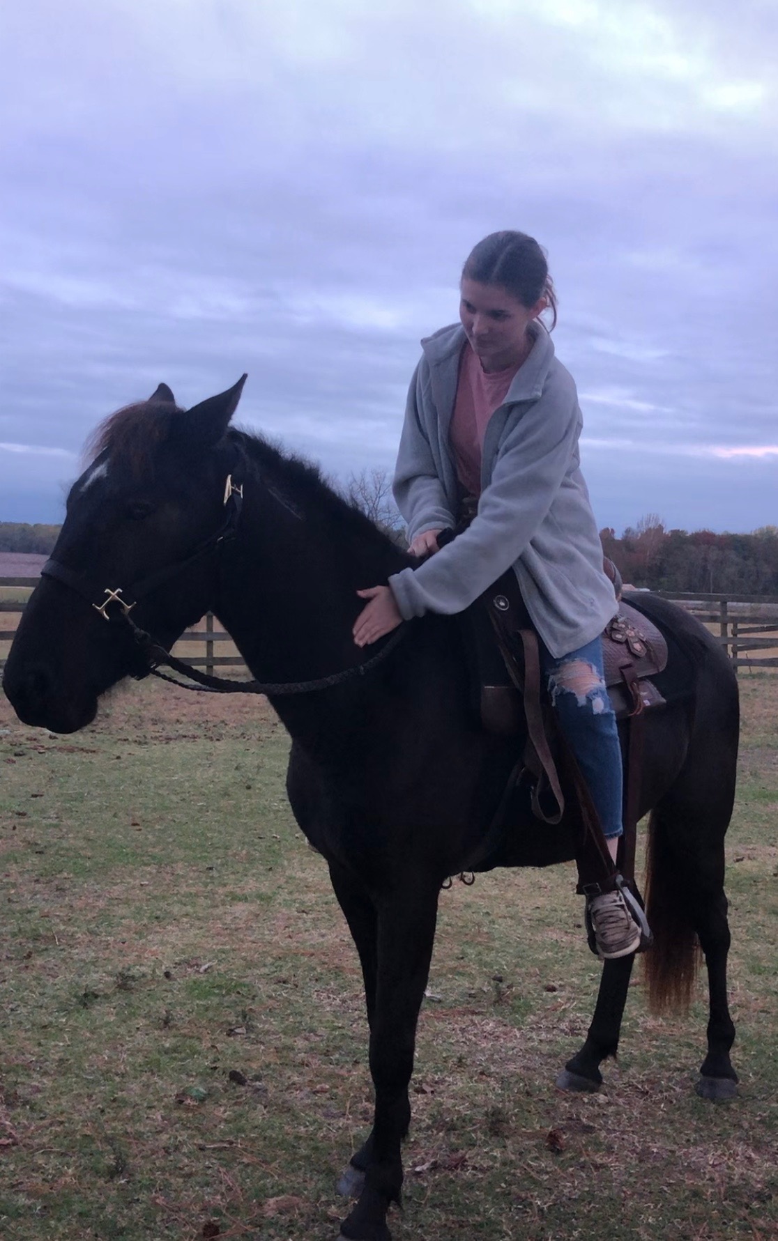 Support Jaydyn's Mission to Rescue Mustangs campaign photo, 7 of 8