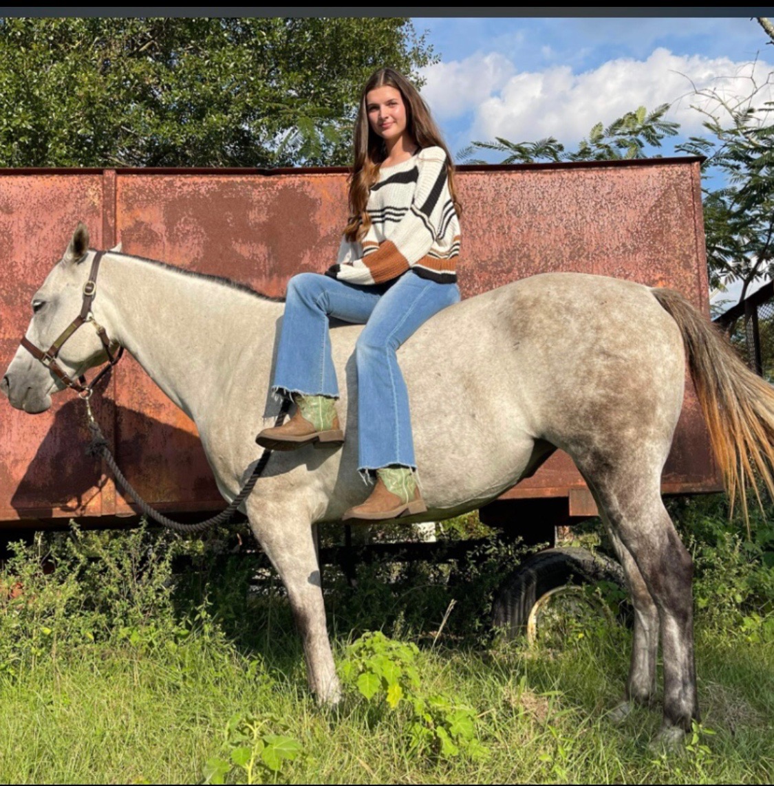 Support Jaydyn's Mission to Rescue Mustangs campaign photo, 6 of 8