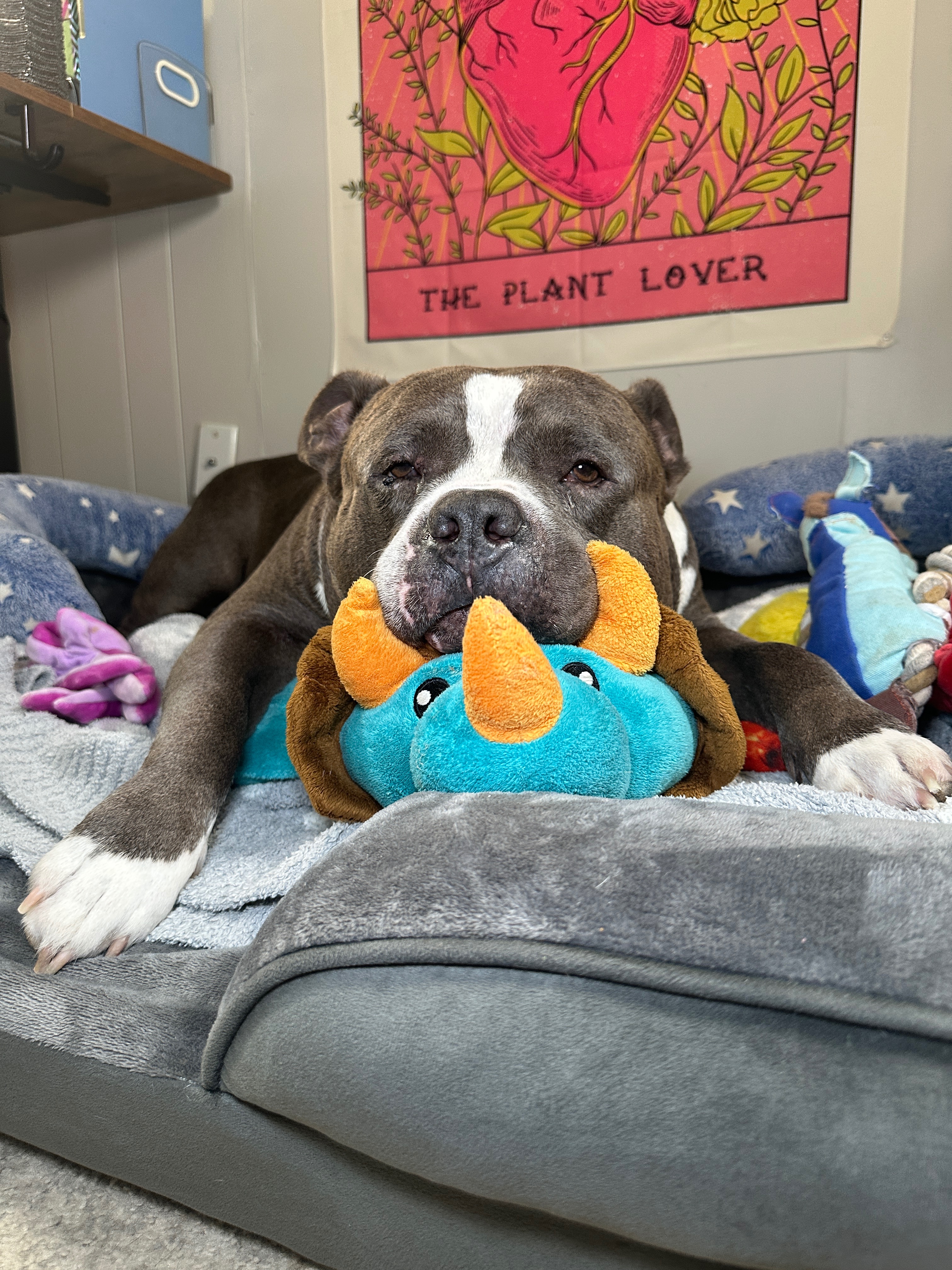 User-uploaded image 1