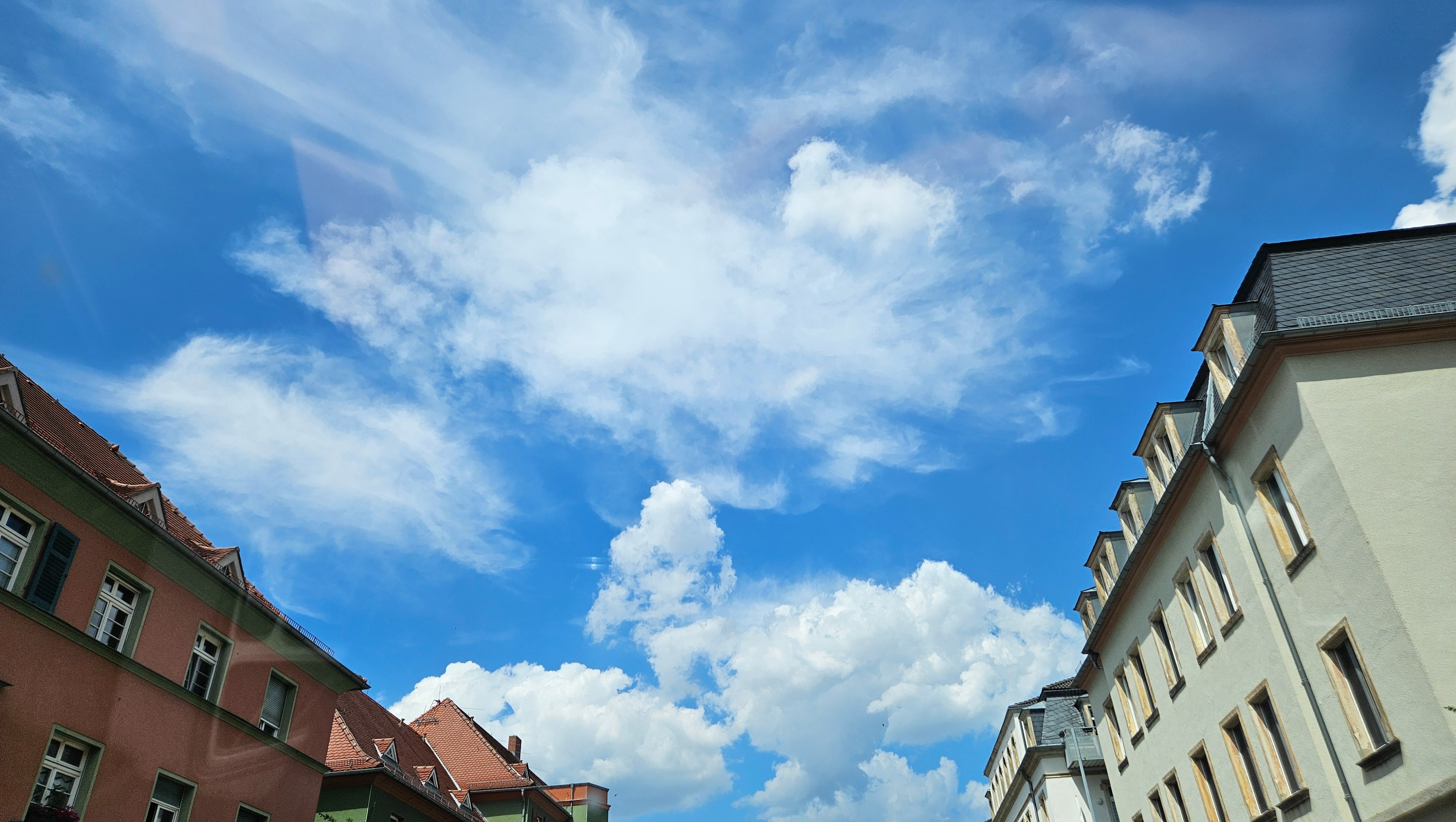 Ausbildung zur Tierkommunikation