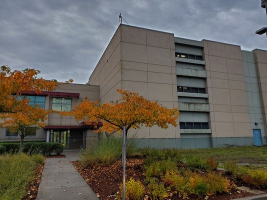 User-uploaded image 1