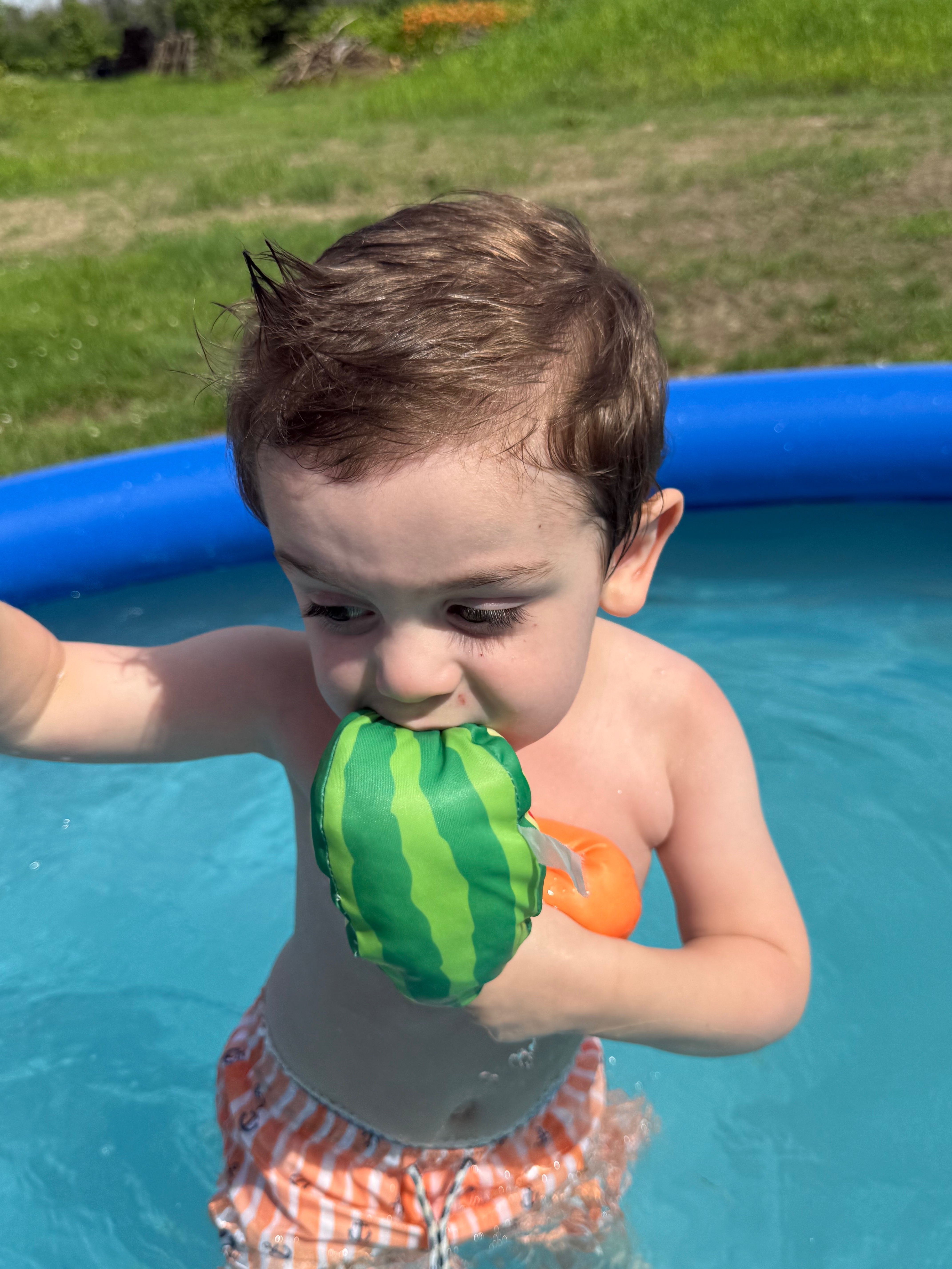 User-uploaded image 1