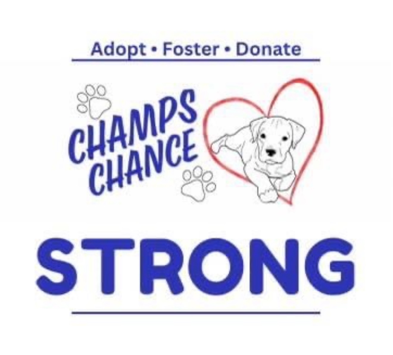 User-uploaded image 1