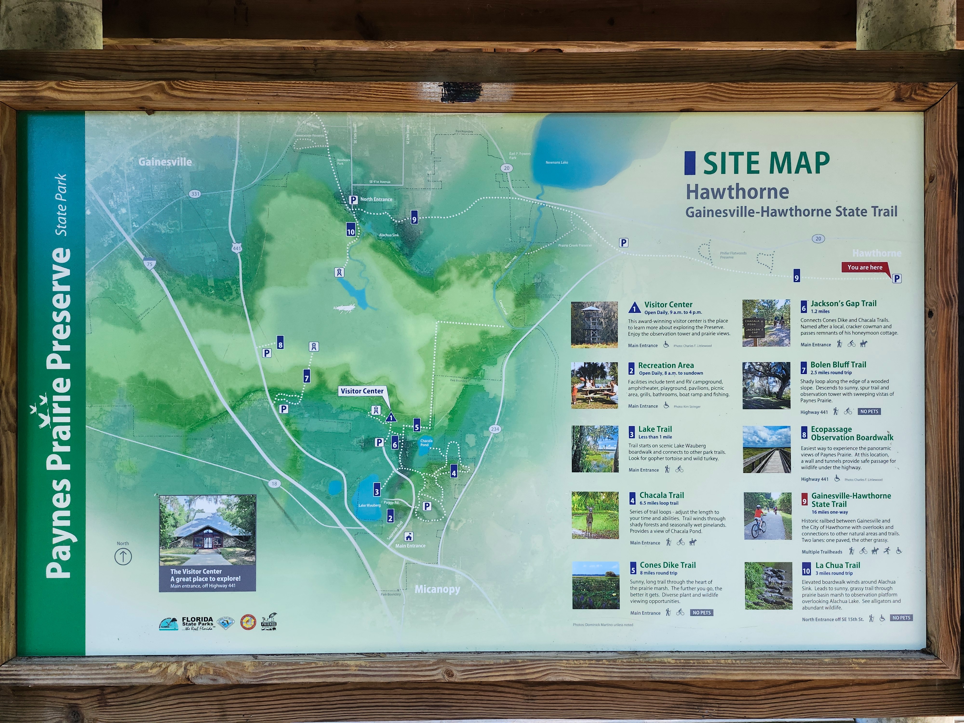 User-uploaded image 1