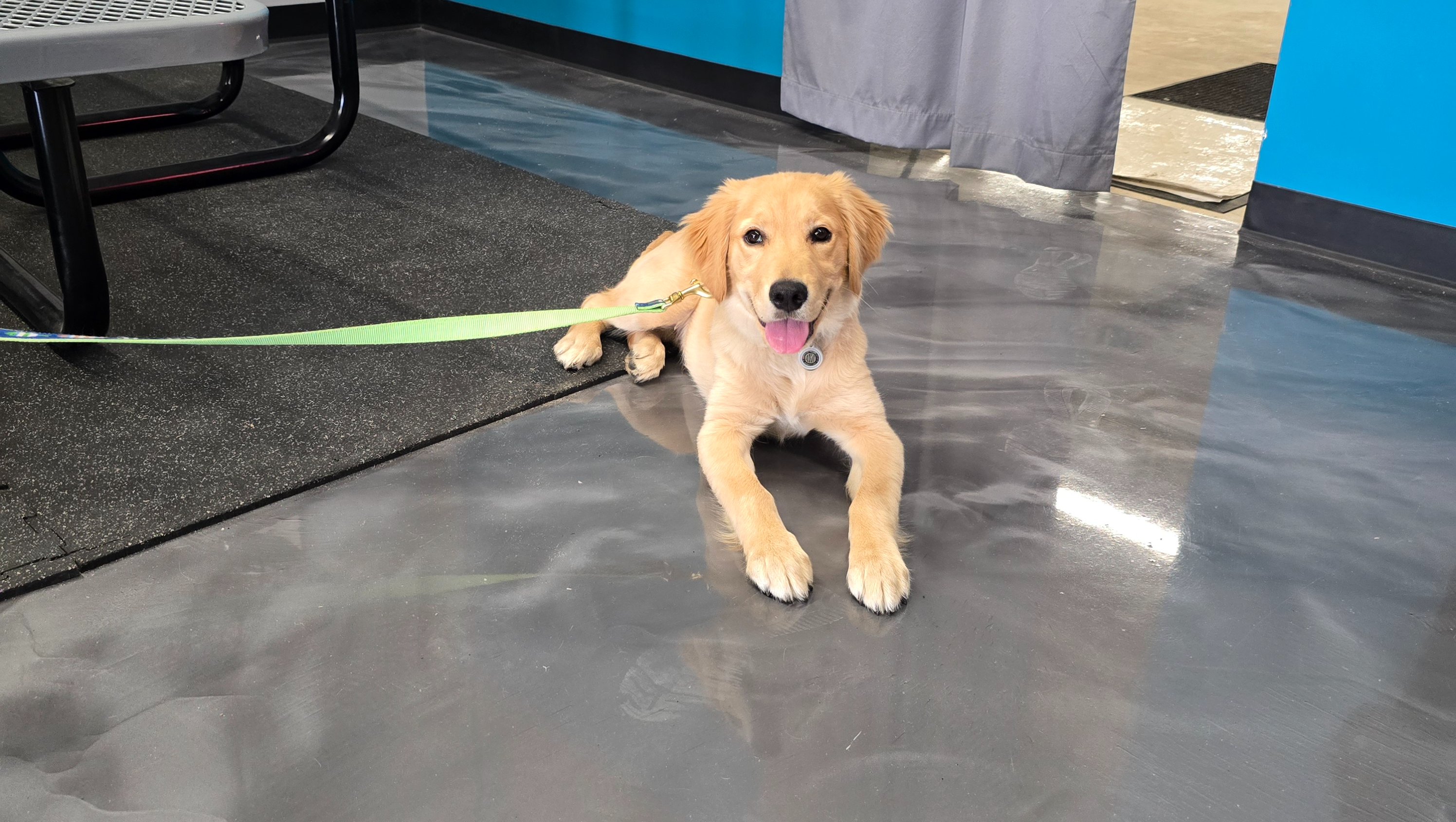 Jasper's Journey for a Healthy Heart photo