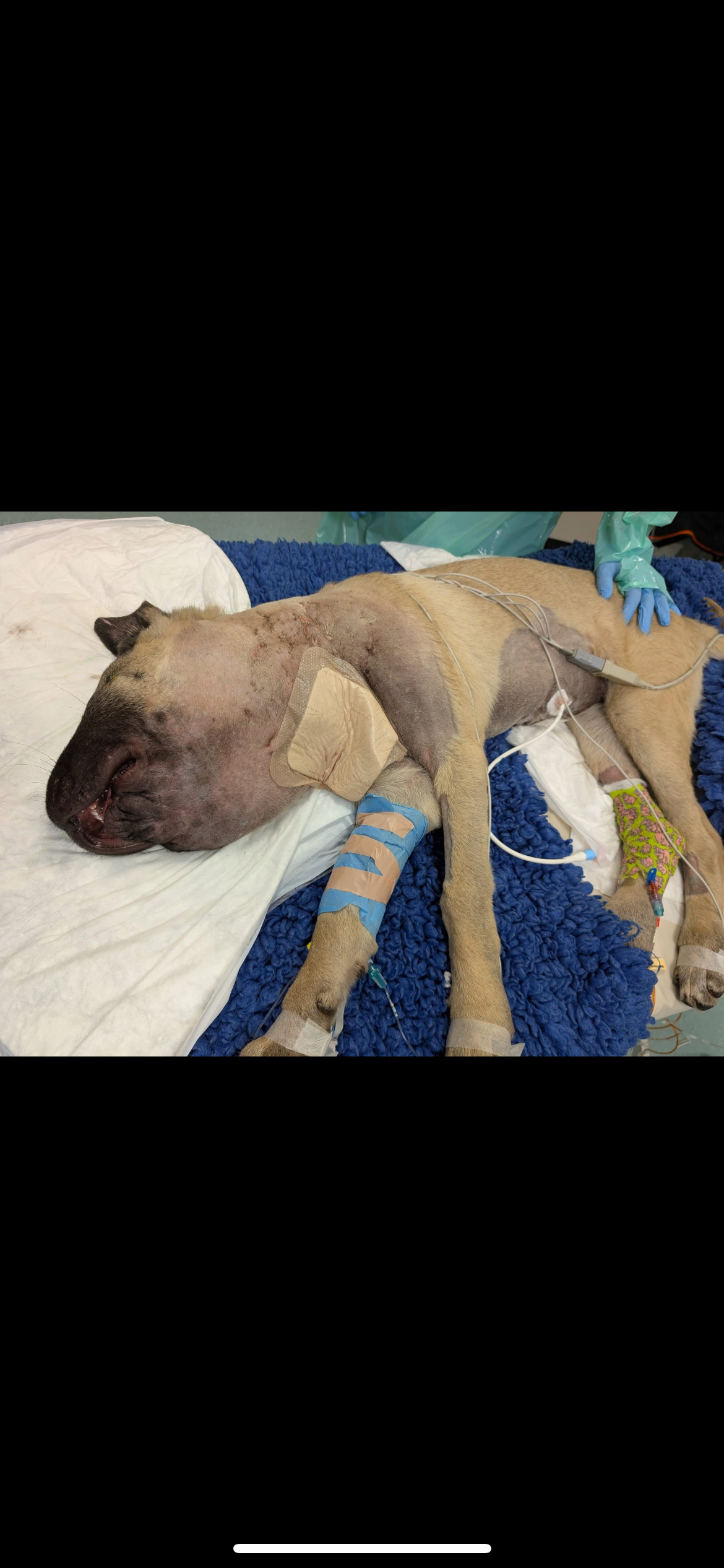 User-uploaded image 1