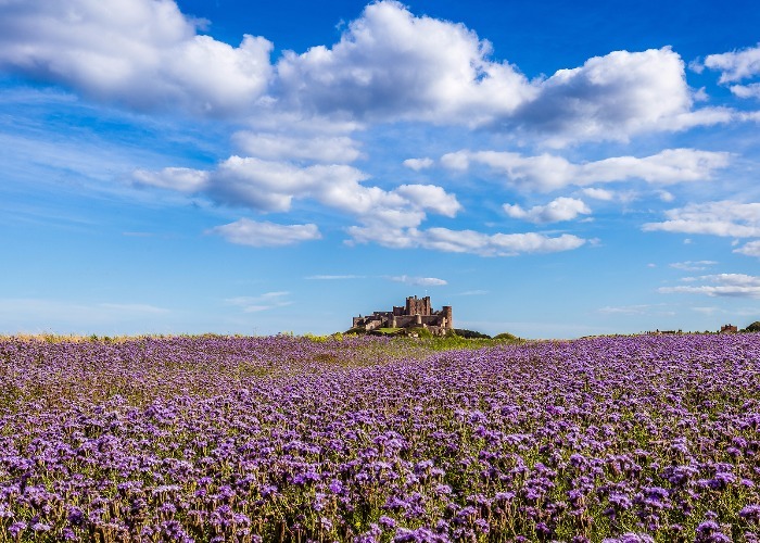 User-uploaded image 1