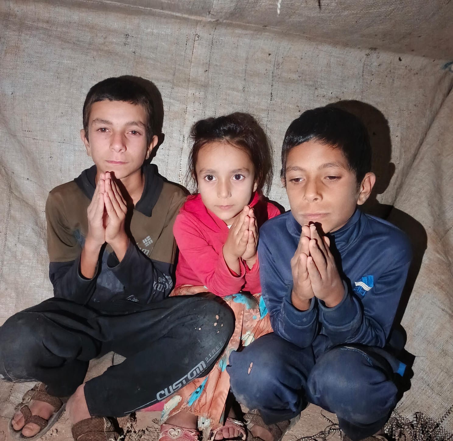 User-uploaded image 1