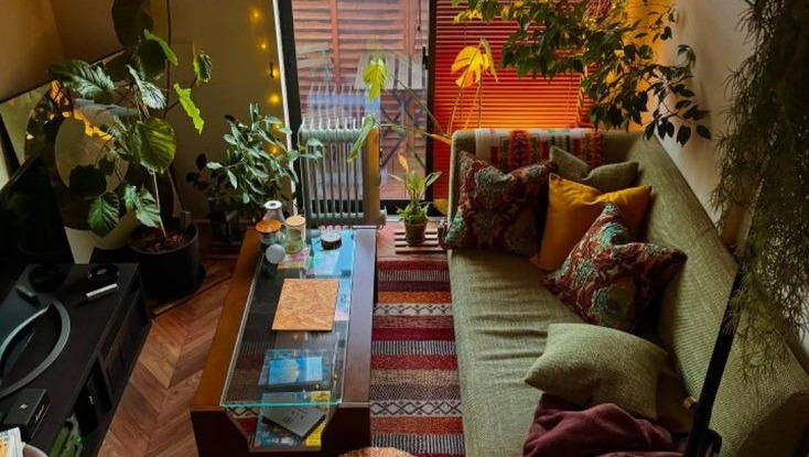 Making My Apartment Dreams a Reality photo