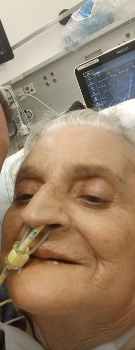 Immagine caricata dall'utente 1