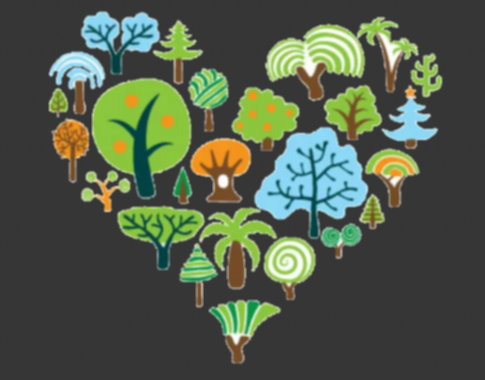 User-uploaded image 3