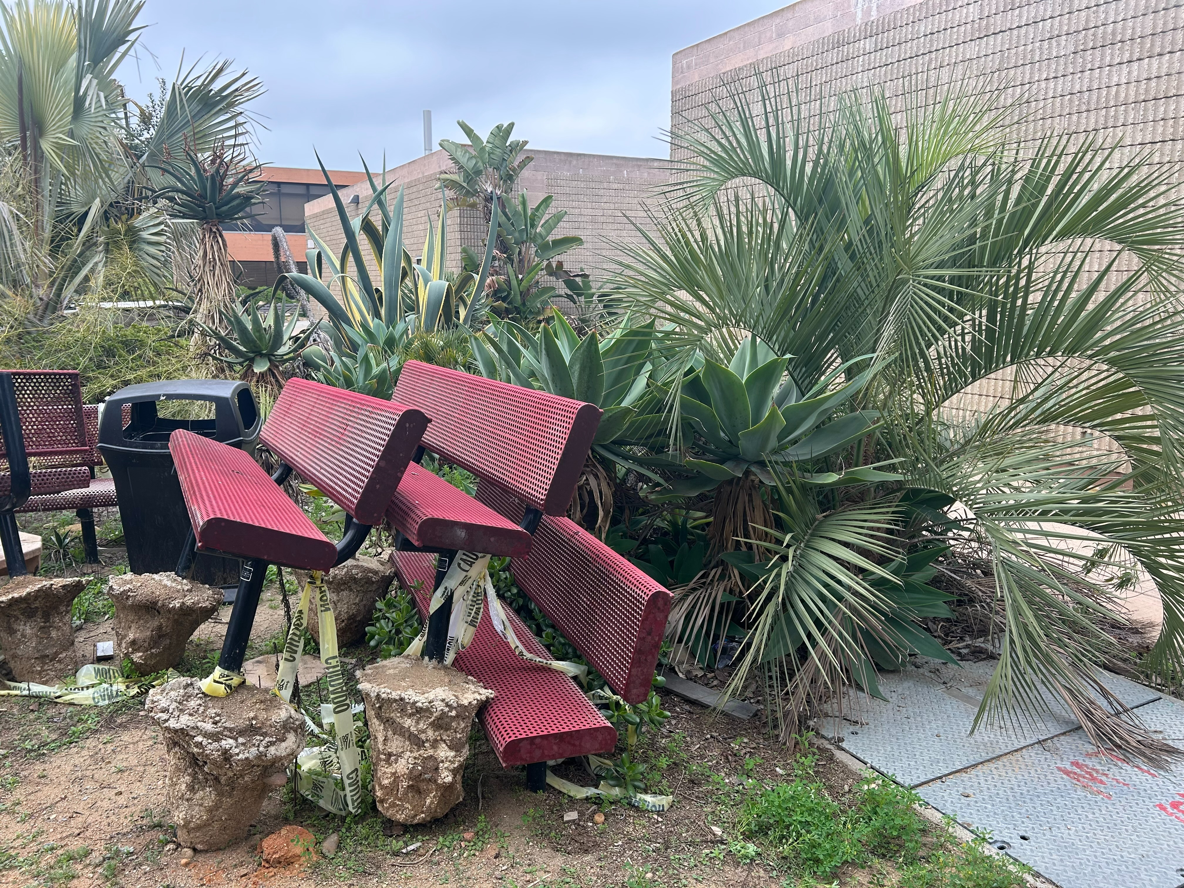 User-uploaded image 1