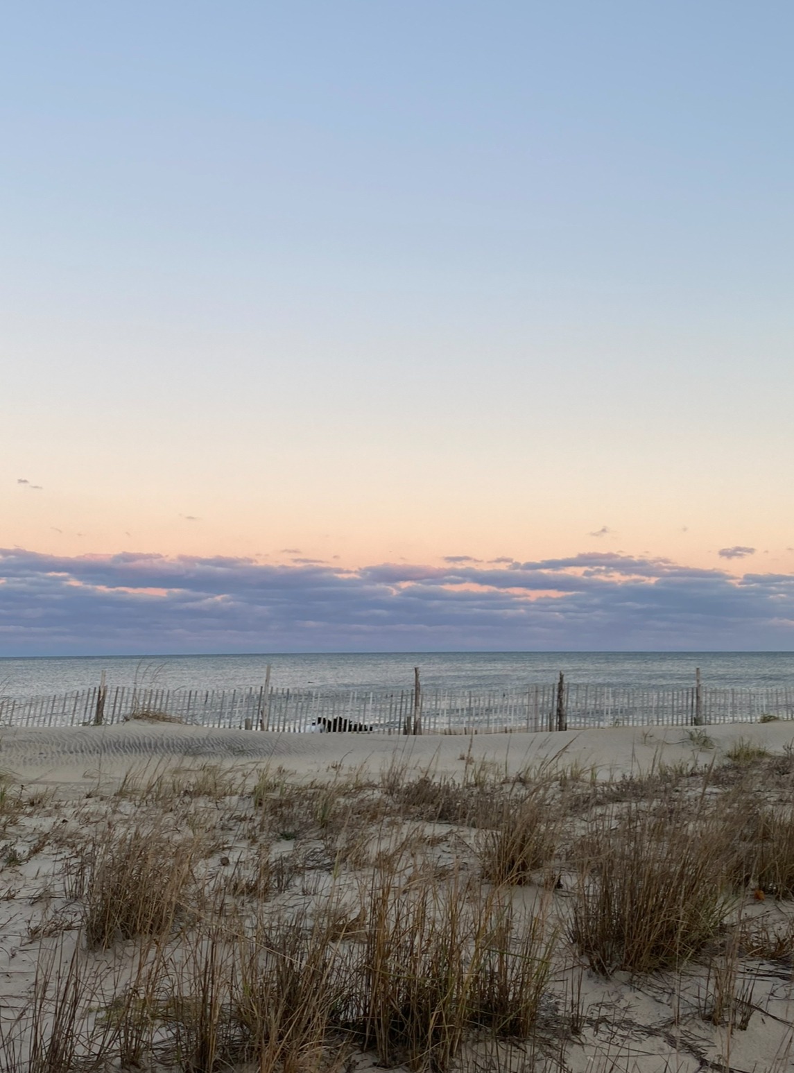 User-uploaded image 1